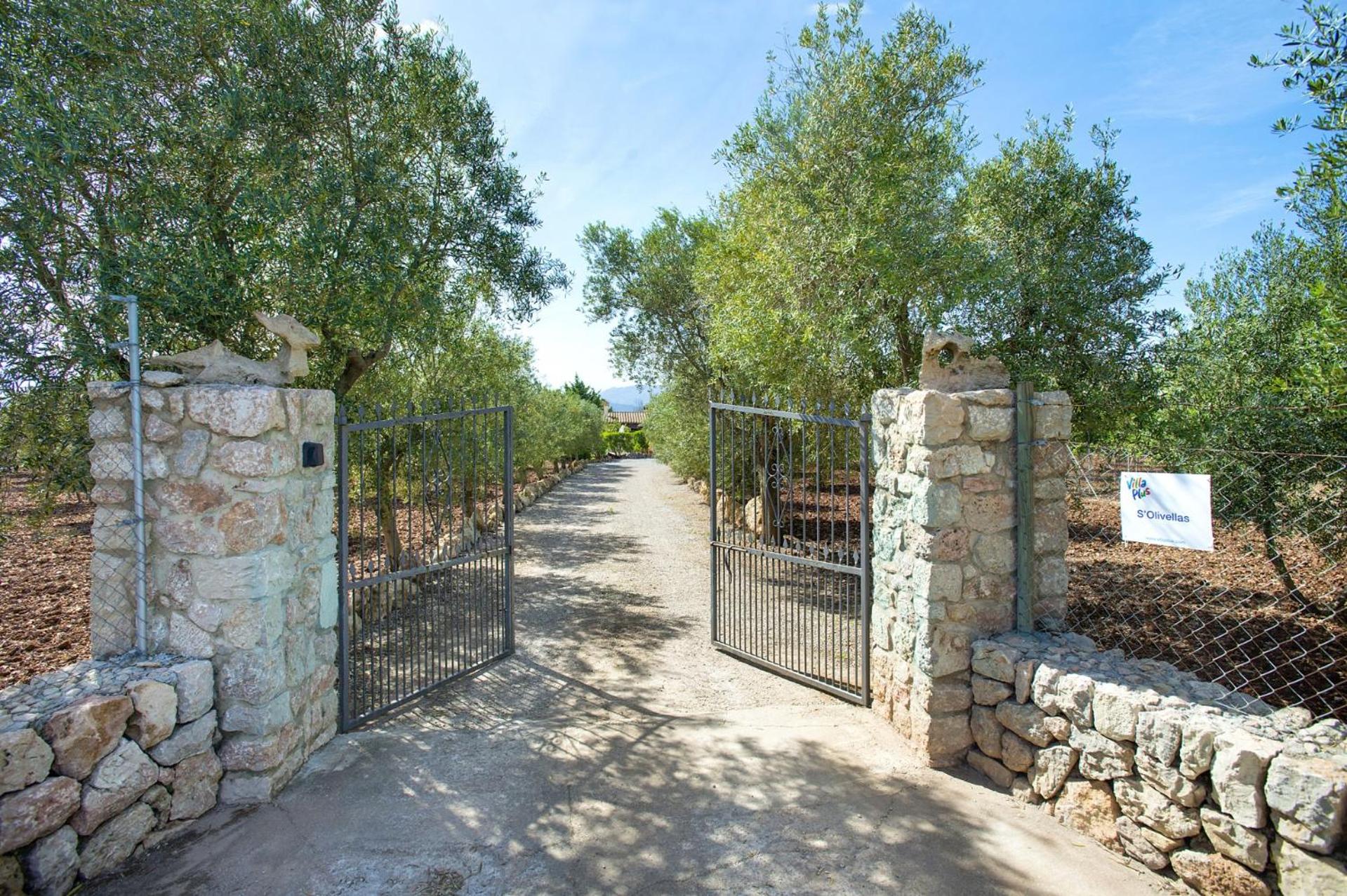 Villa SOlivellas by Villa Plus