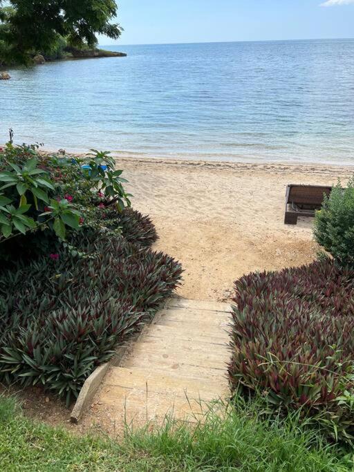Ivy's Cove Beach Side Condo - Luxury Villa view 5