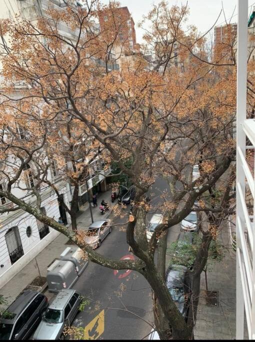 Charming and Comfortable Studio in Palermo