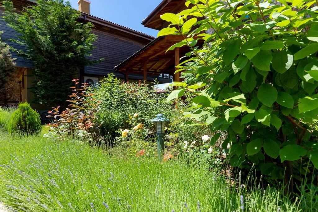 Luxury 2 bedroom villa in Sozopolis