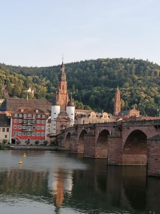 Zentrales Nest in Heidelberg