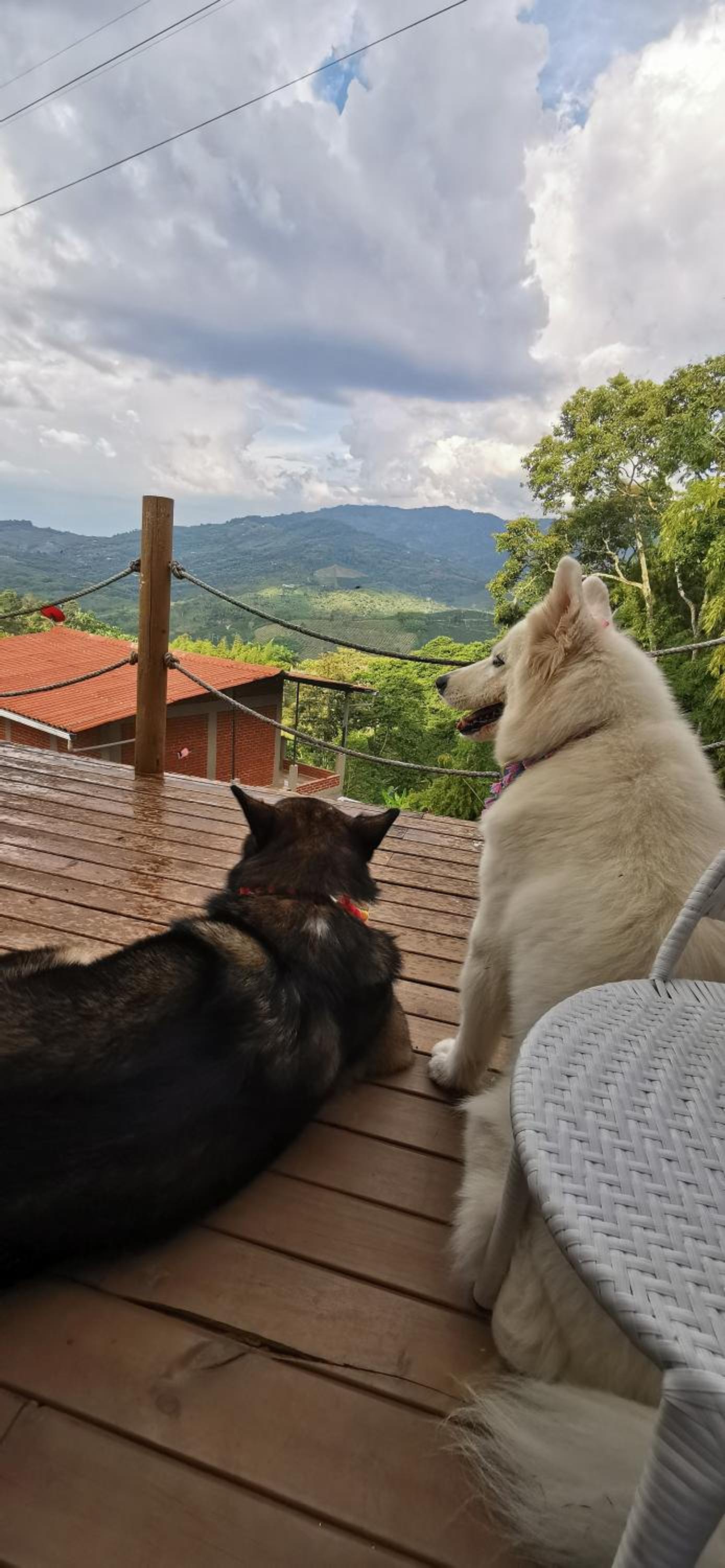 Glamping Villa Gilma