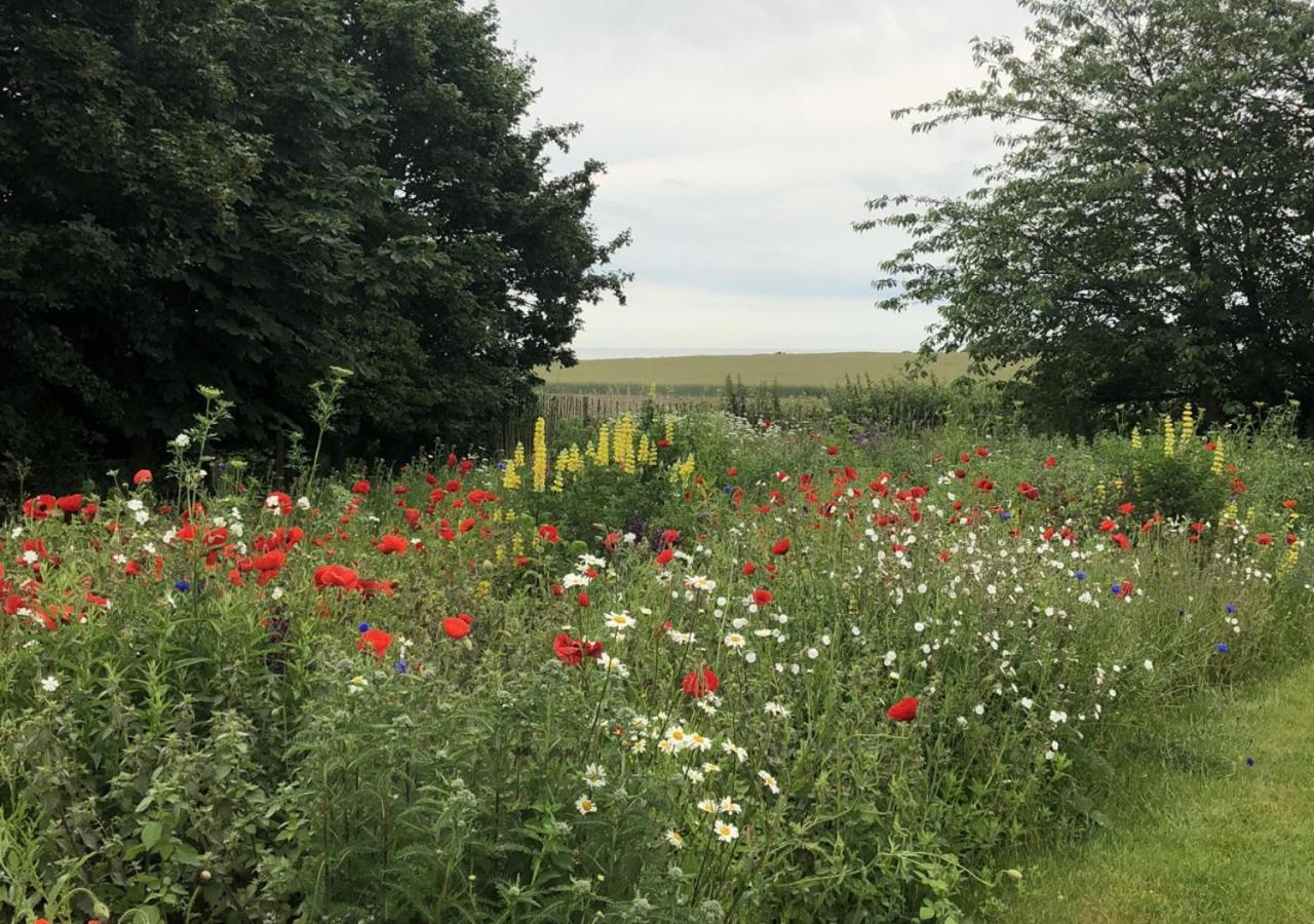 3 Bed in Walberswick oc-spinn