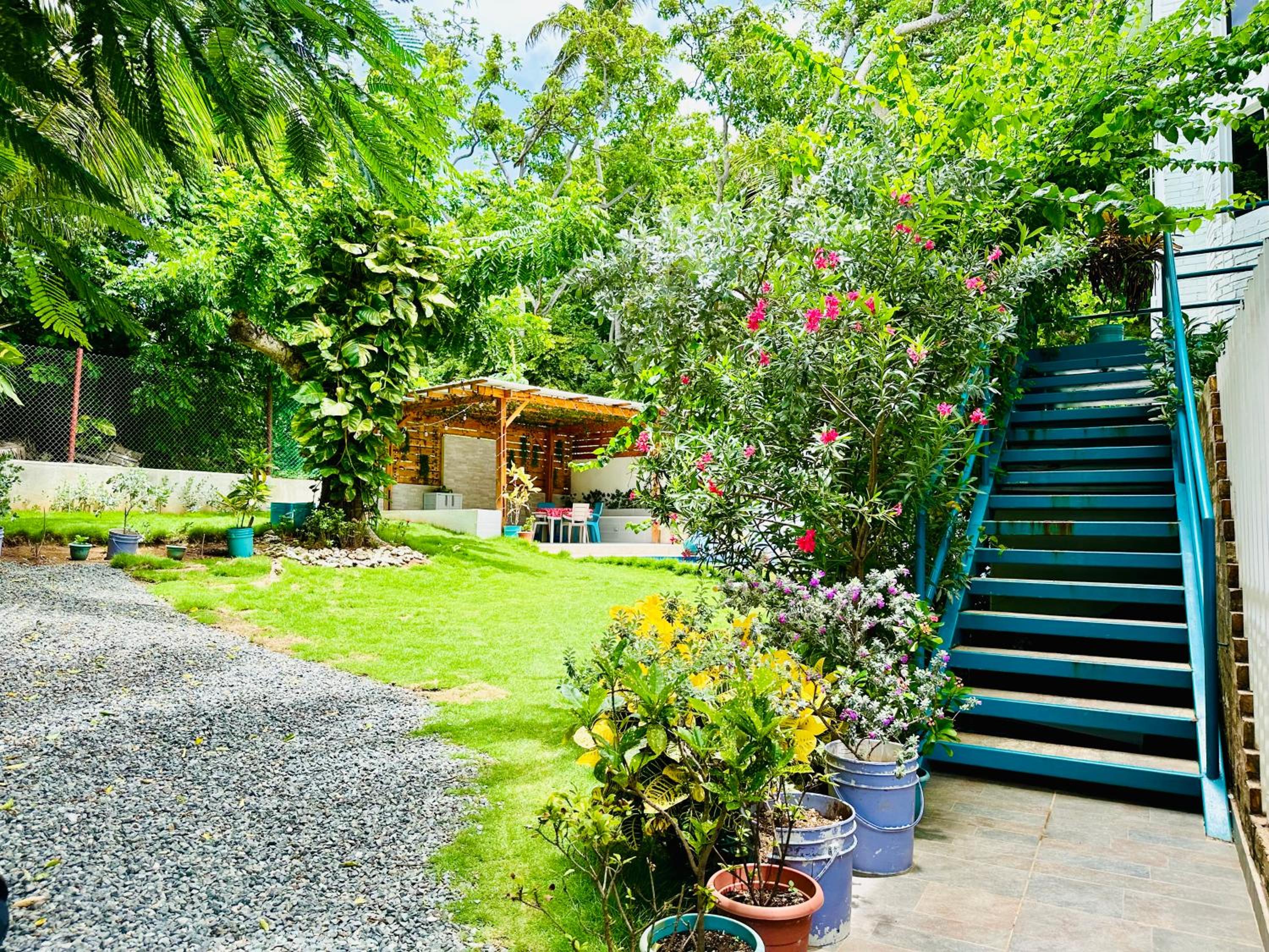 Palmare House view 5