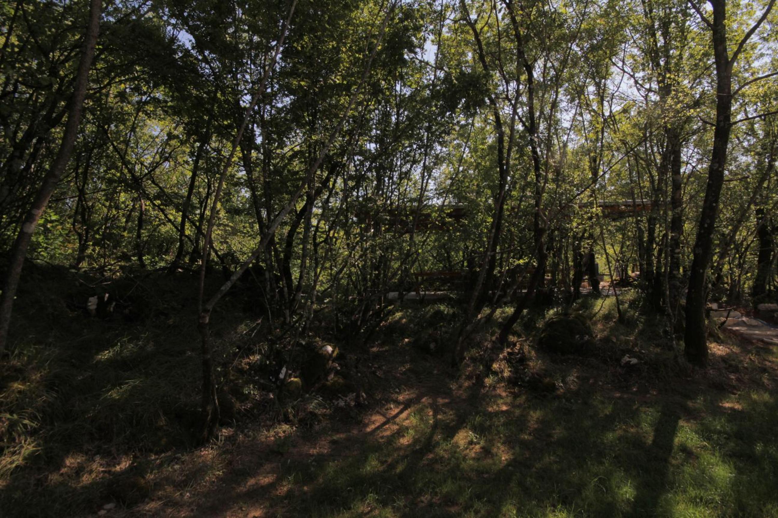 Photo 44