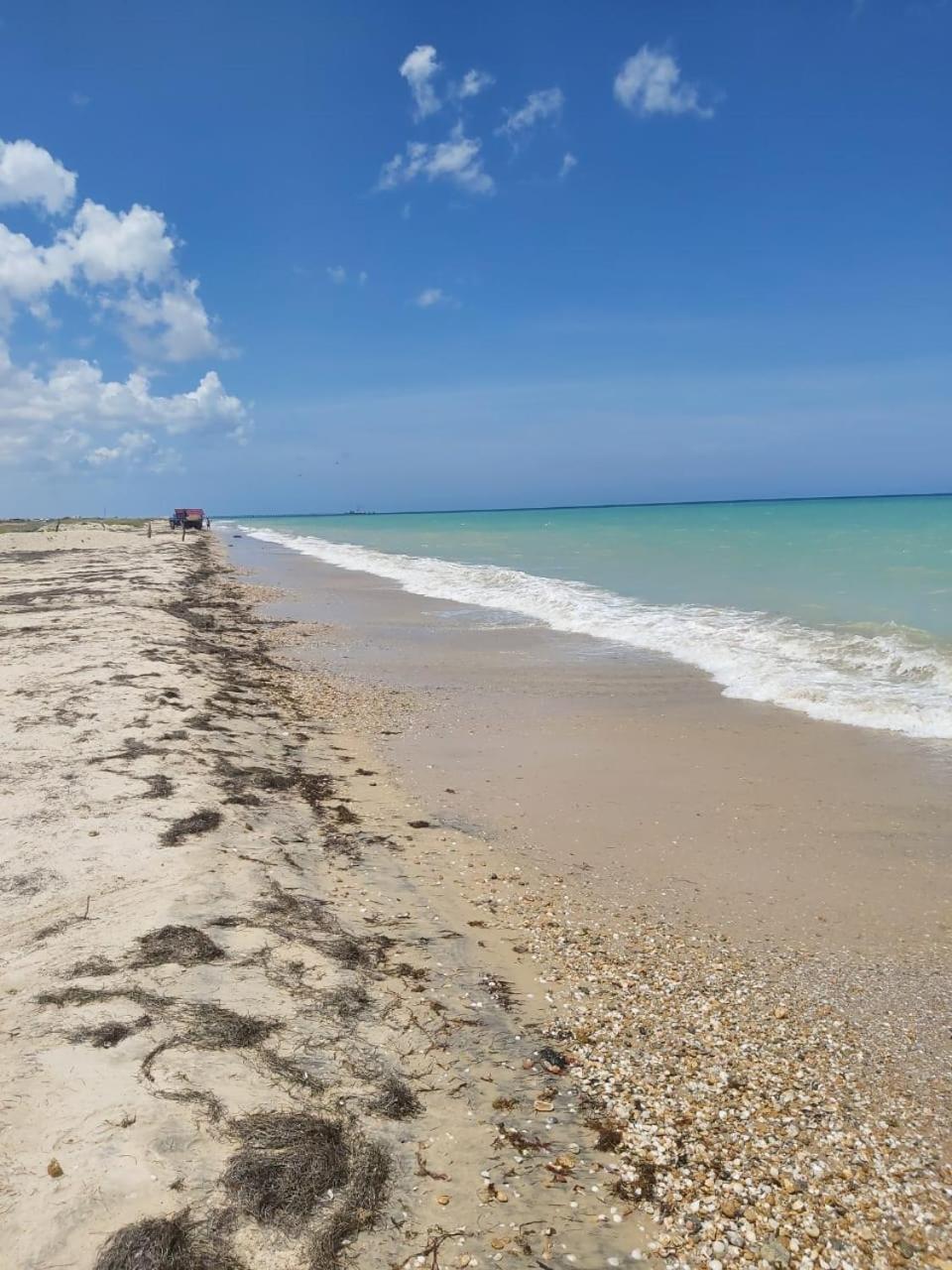 Del Mar Vendra