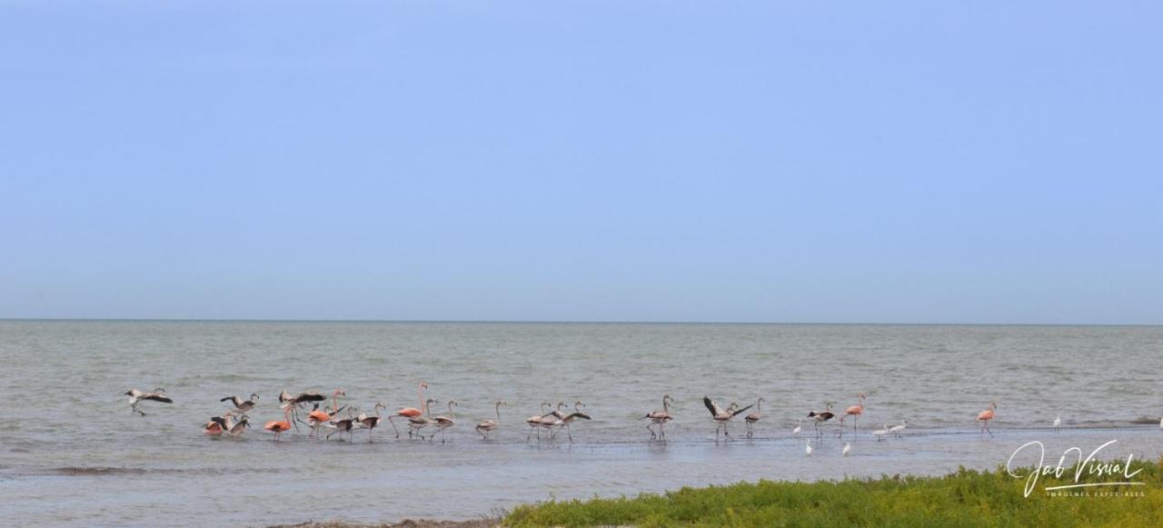 Del Mar Vendra