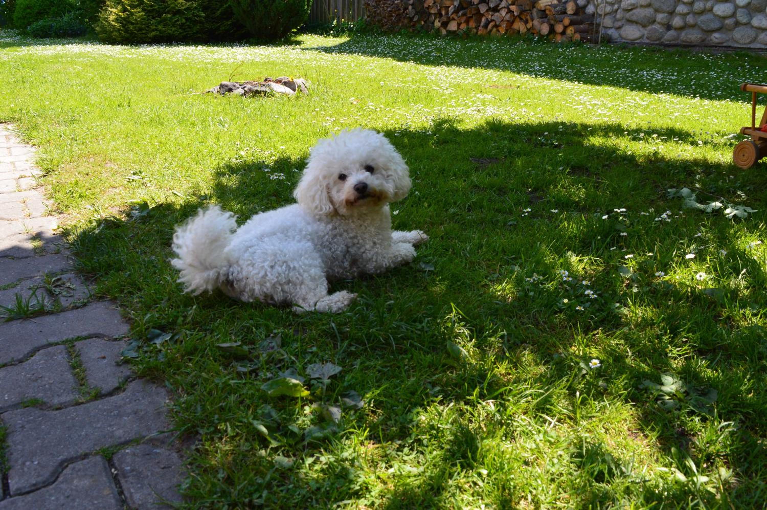 Photo 21