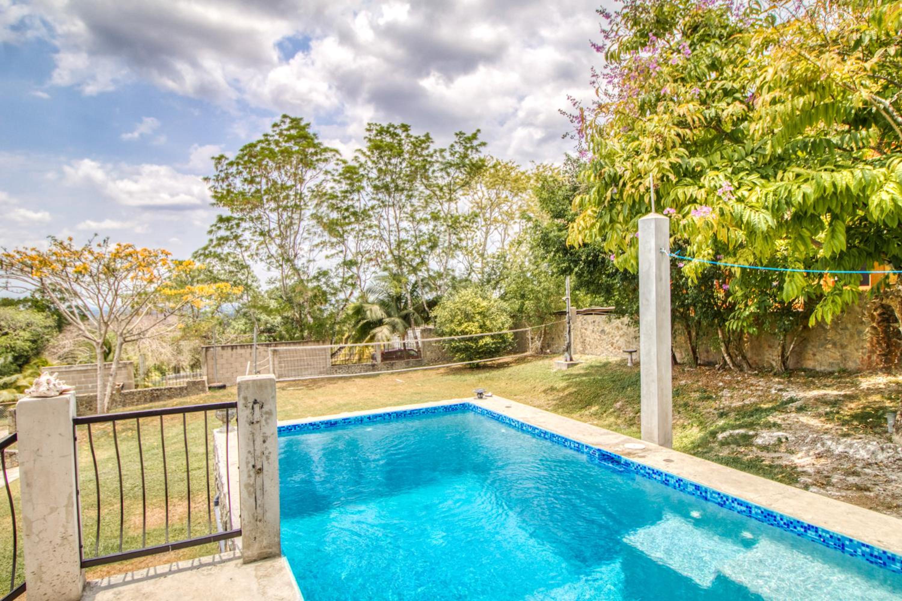 D Borland View Gold Standard Certified