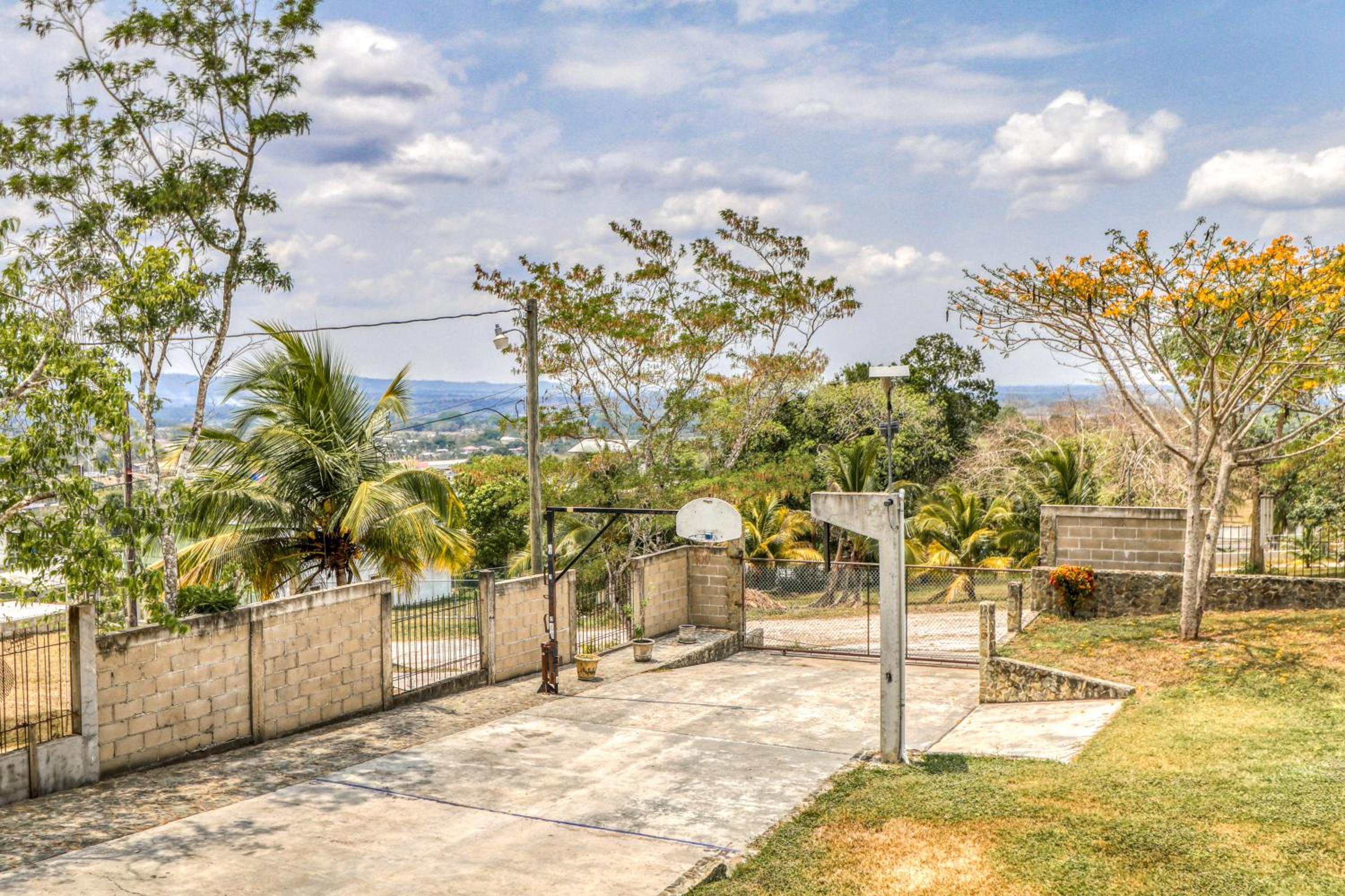 D Borland View Gold Standard Certified