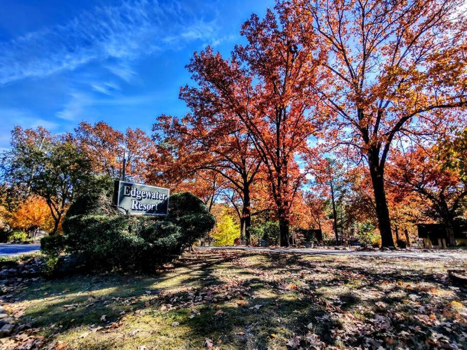 #02 - Unique Lakeside Studio Cottage- Pet Friendly view 4