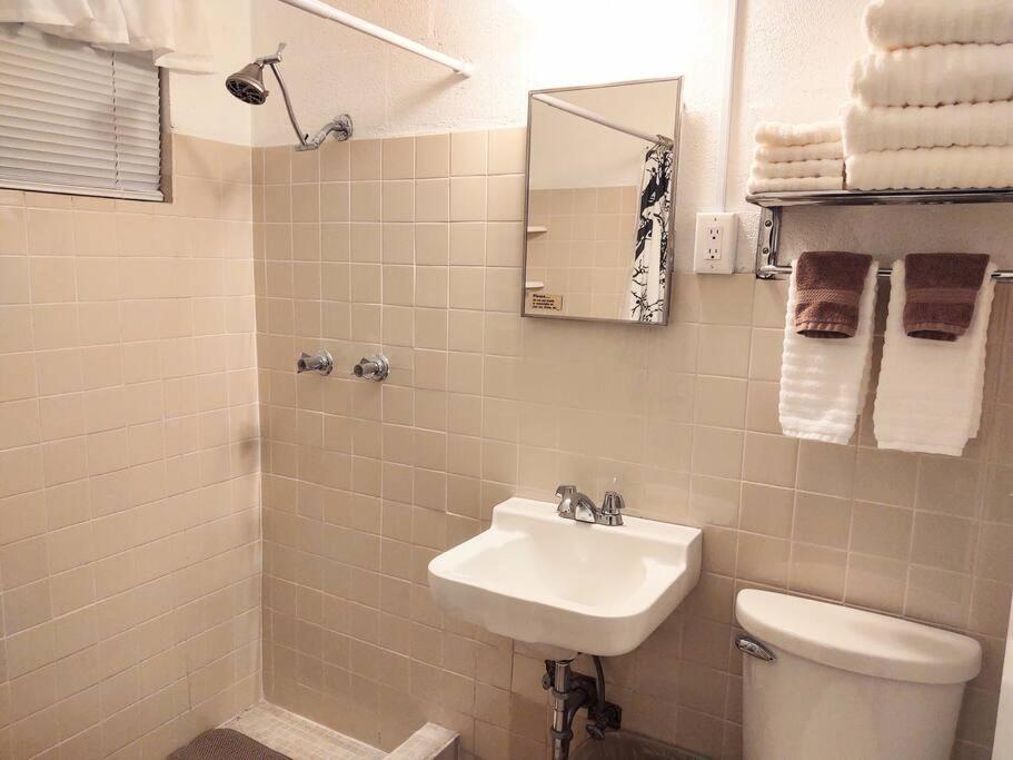#02 - Unique Lakeside Studio Cottage- Pet Friendly view 5