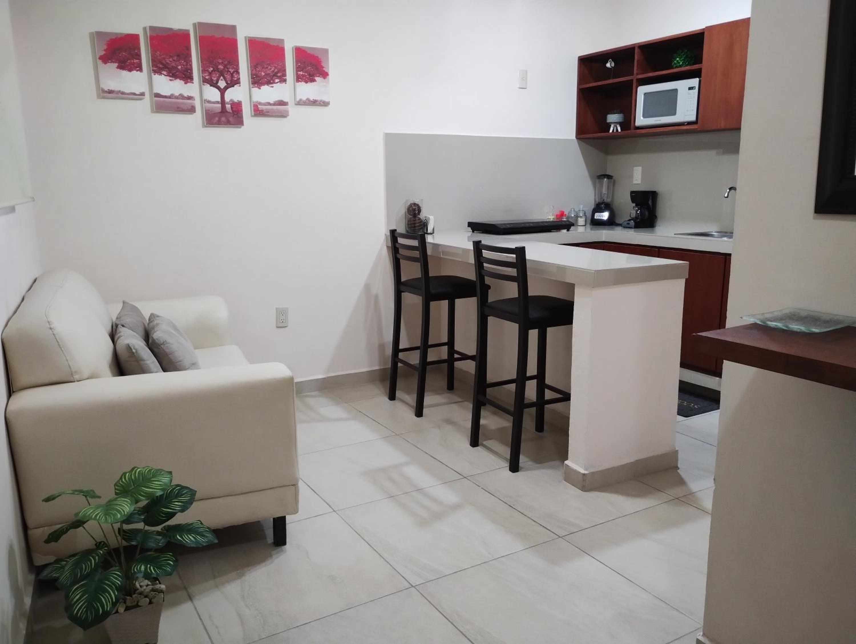 Departamento México view 2
