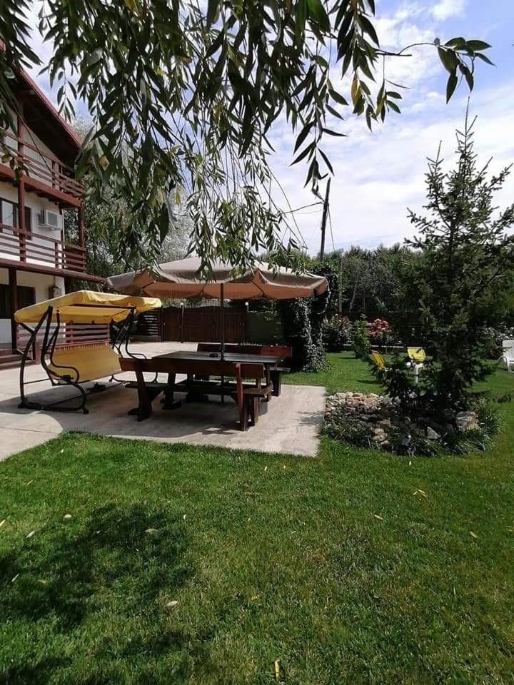 Casa Carp Calarasi view 5