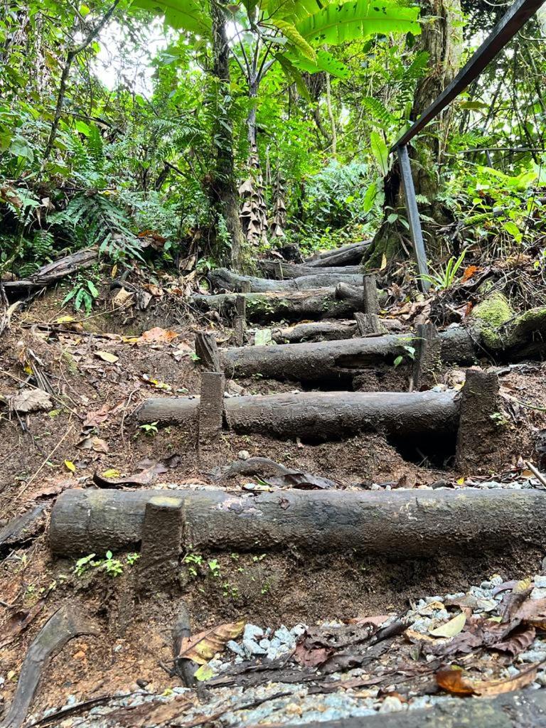 The Backyard Glamping Cameron Highlands