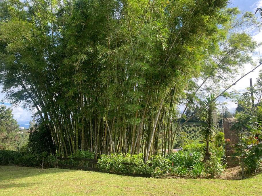 Hermosa casa de campo en ambiente tranquilo.
