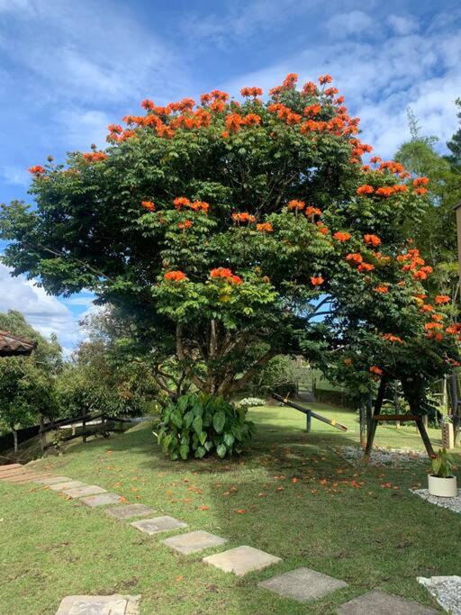 Hermosa casa de campo en ambiente tranquilo.