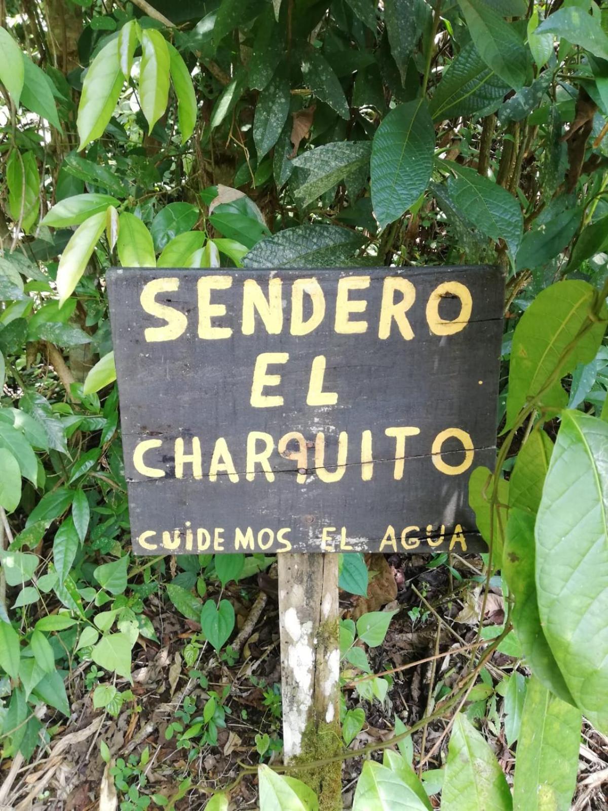 Montaña Verde