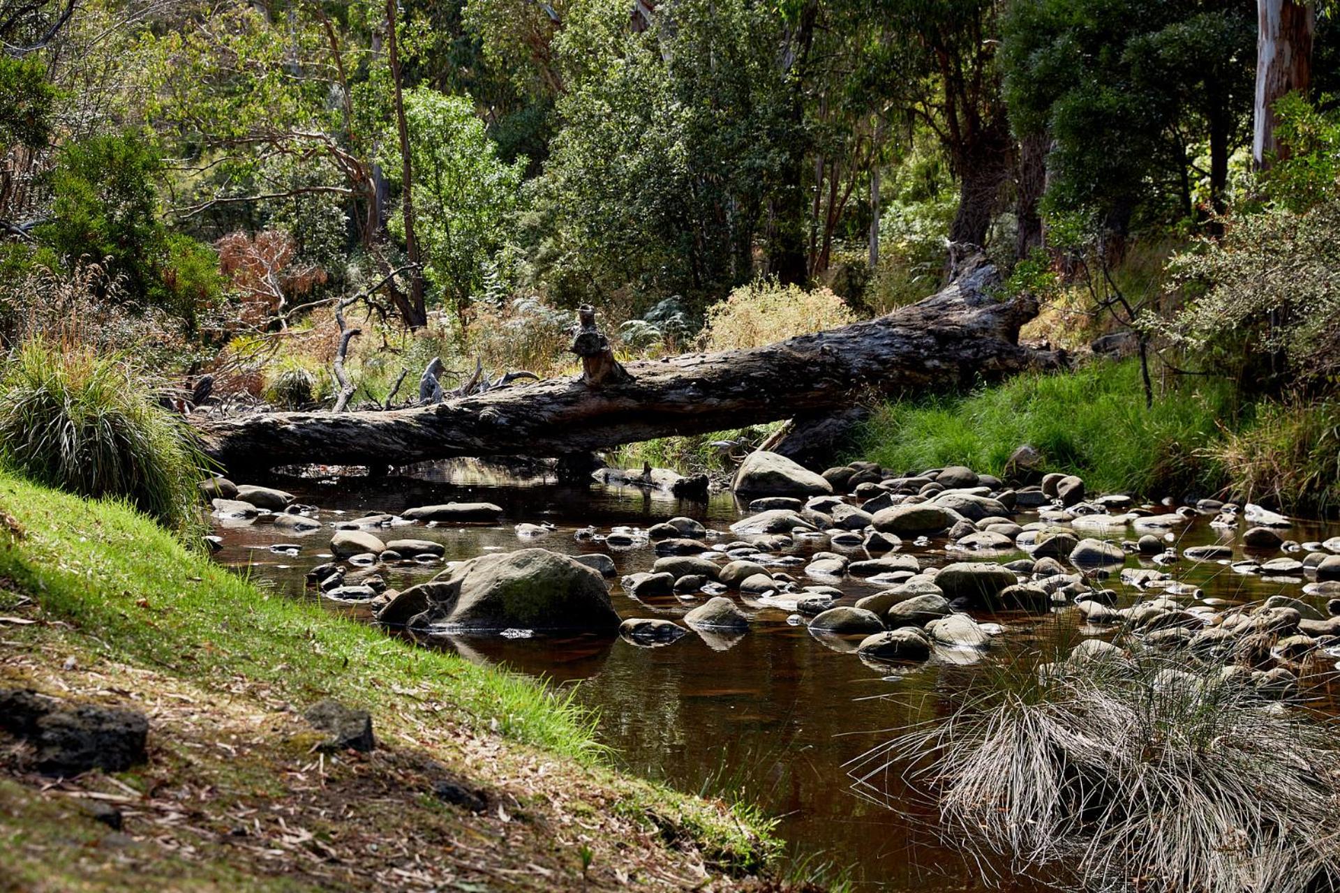 Lorne Foreshore Caravan Park