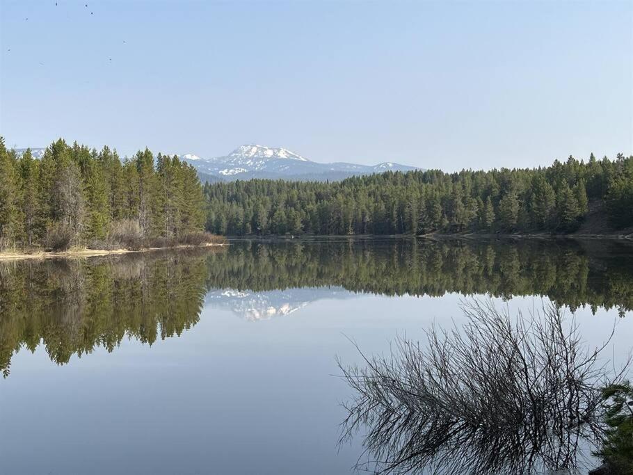 Wilderness Dreams