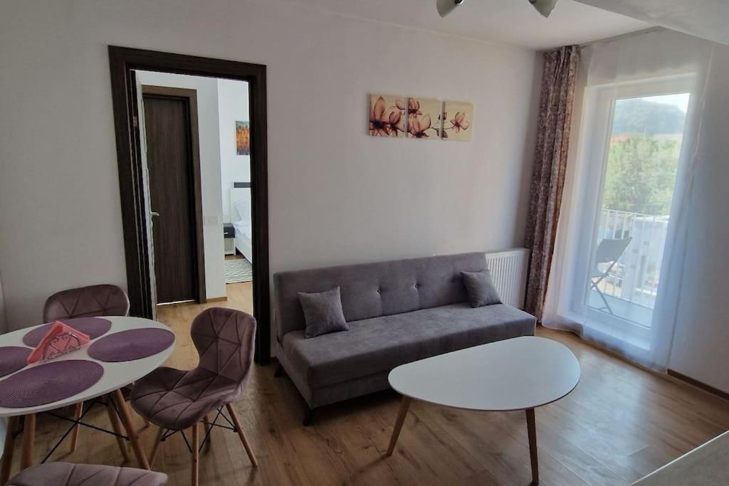 Ap CALAS , No1 2B Etajul 1, AC, Free Parking view 5