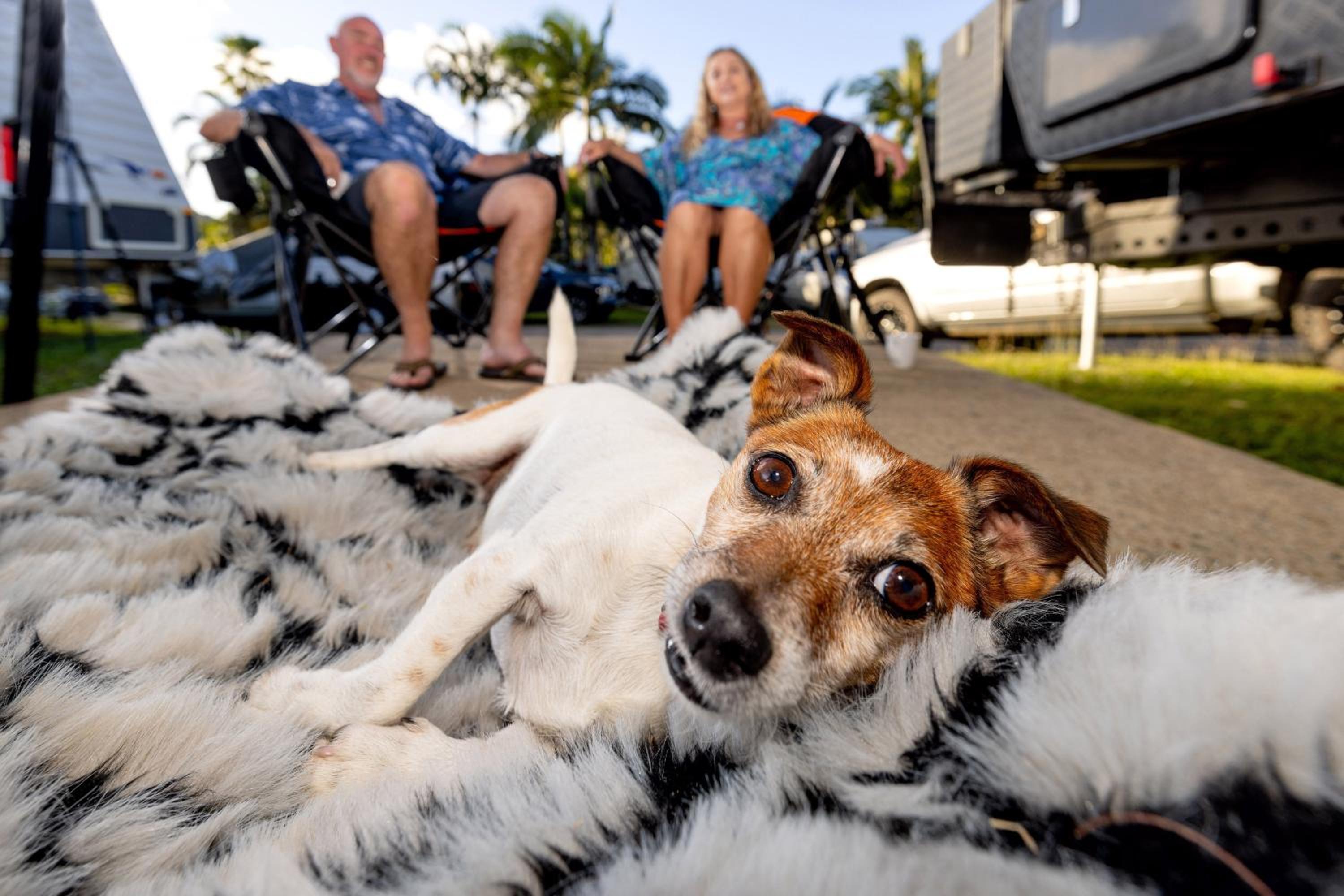 BIG4 Whitsunday Islands Holiday Park