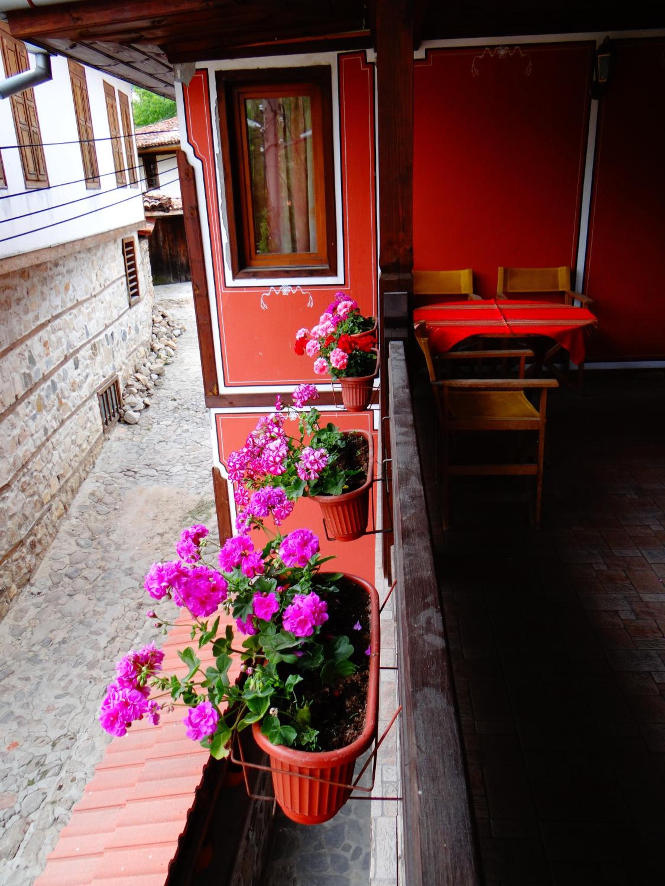 Denis Guest house