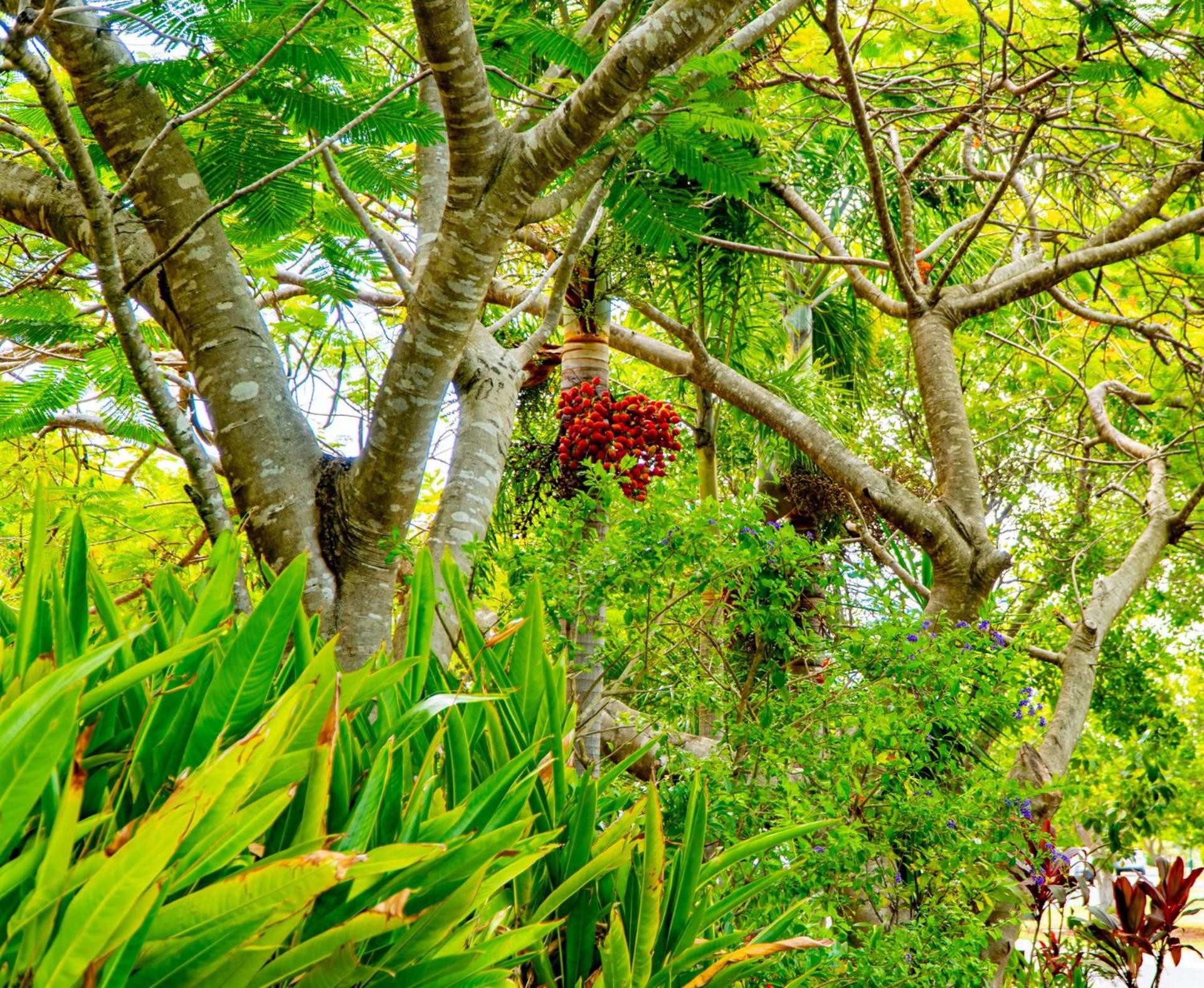 Sunbird Gardens Villa 3