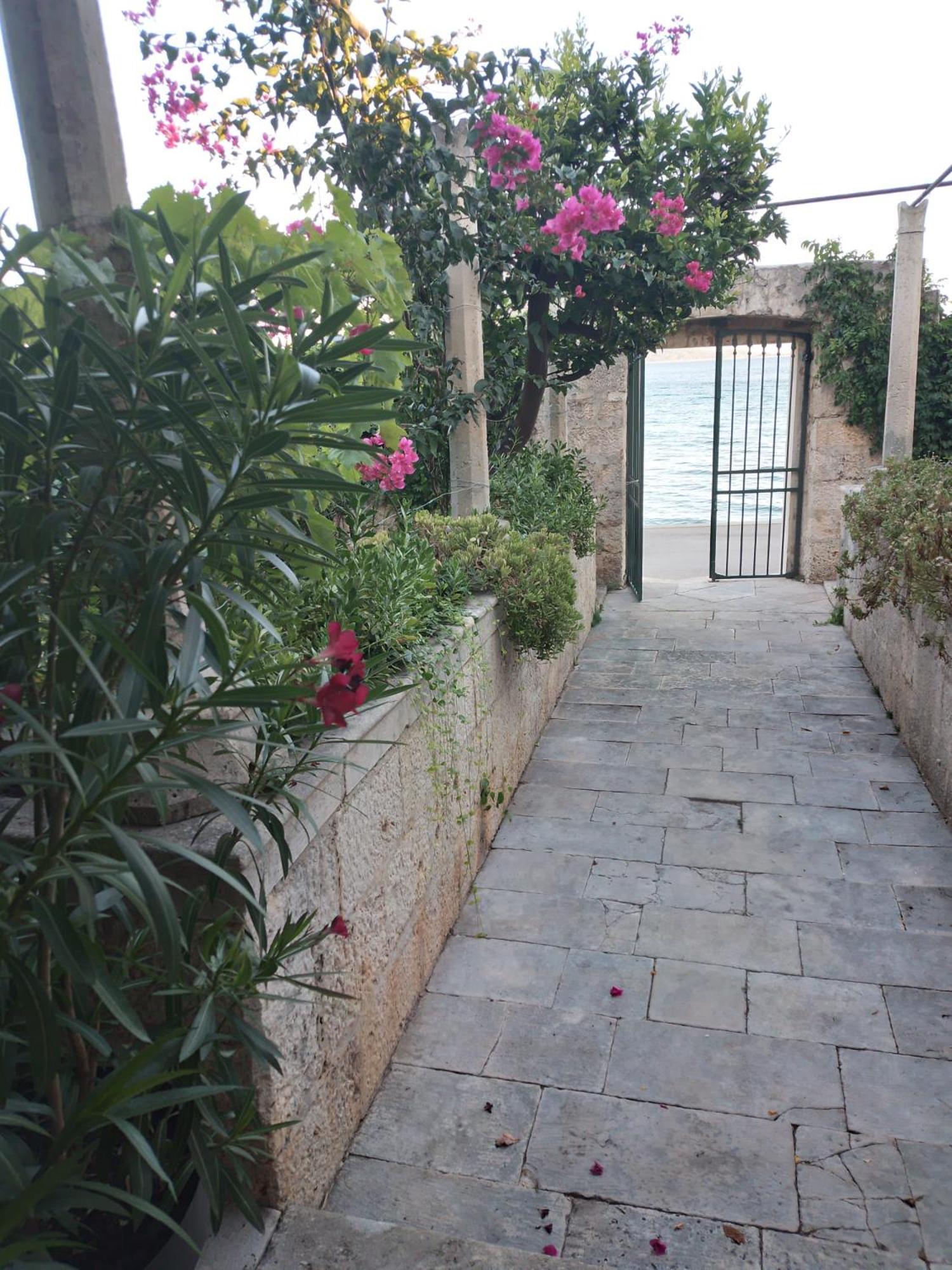 Photo 32