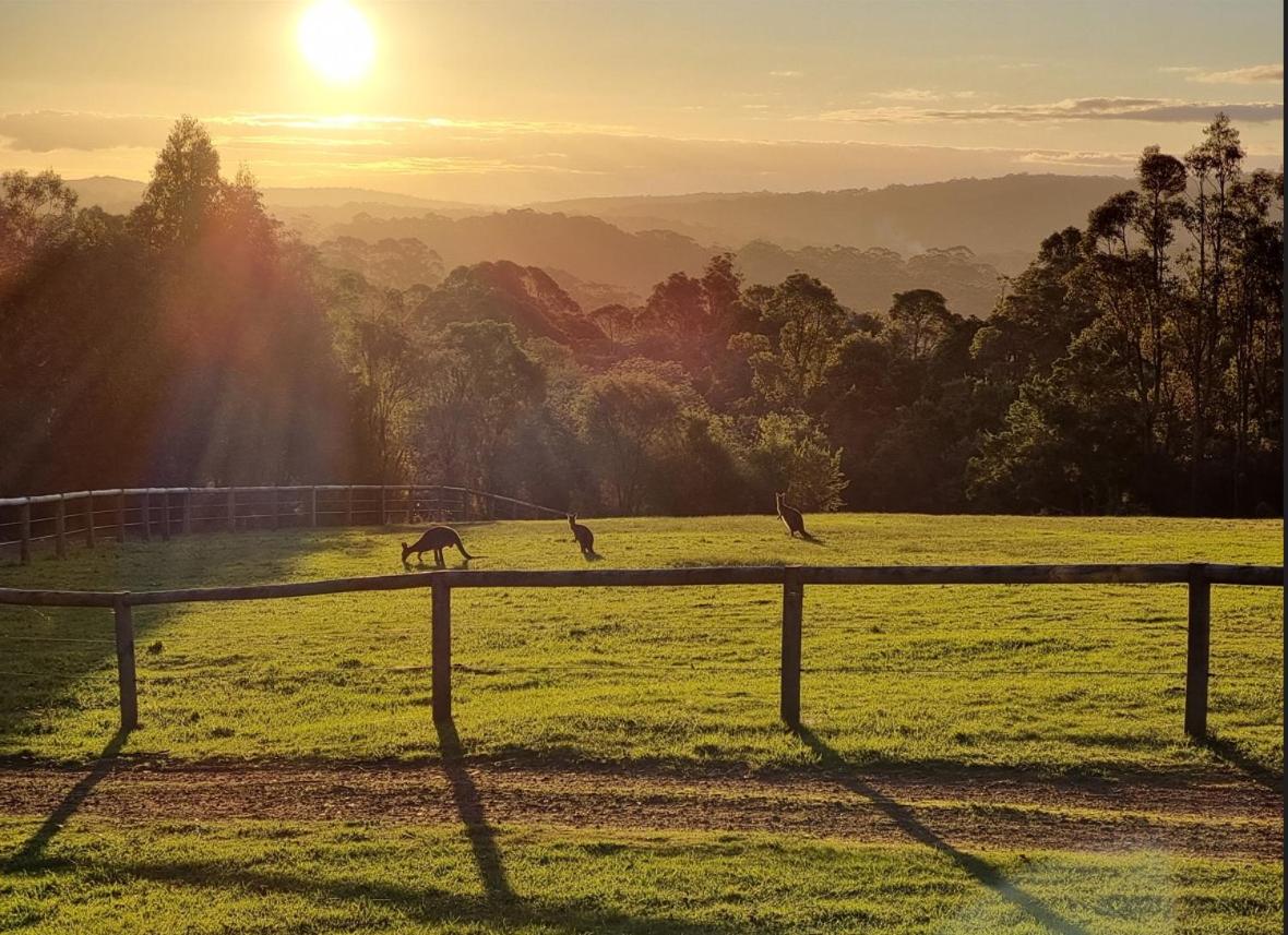 Roo Corner I Private Properties