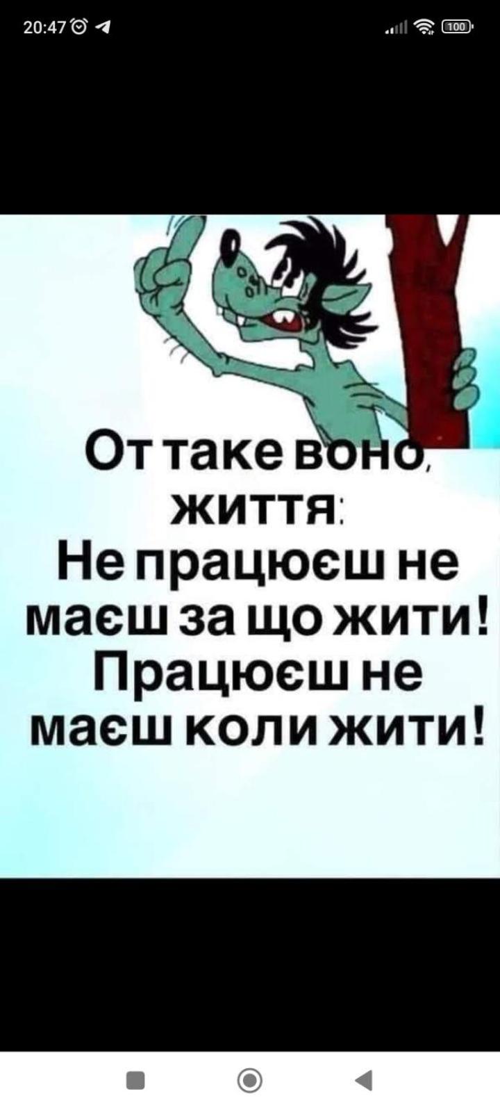 Photo 39