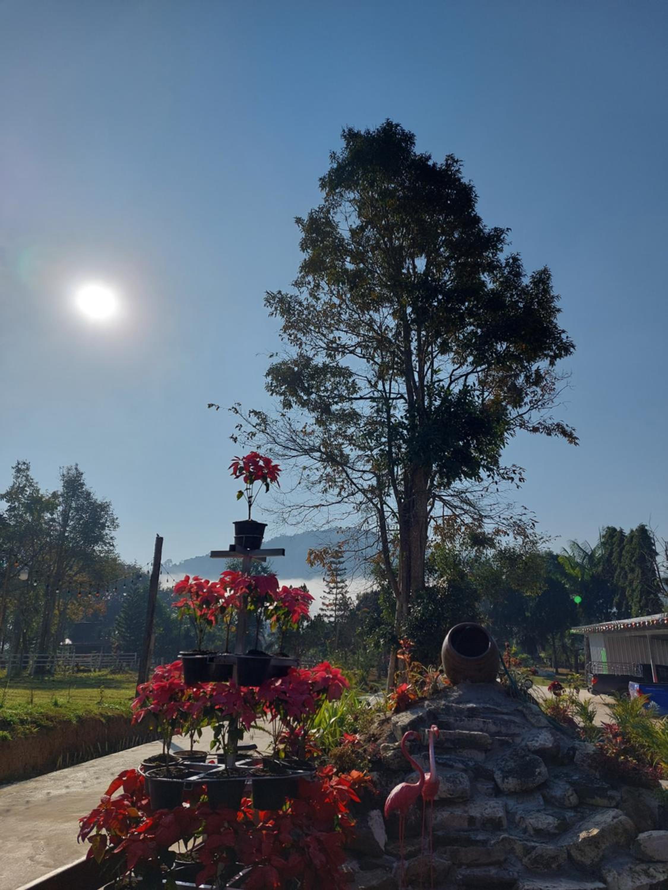 Phulomnum Resort
