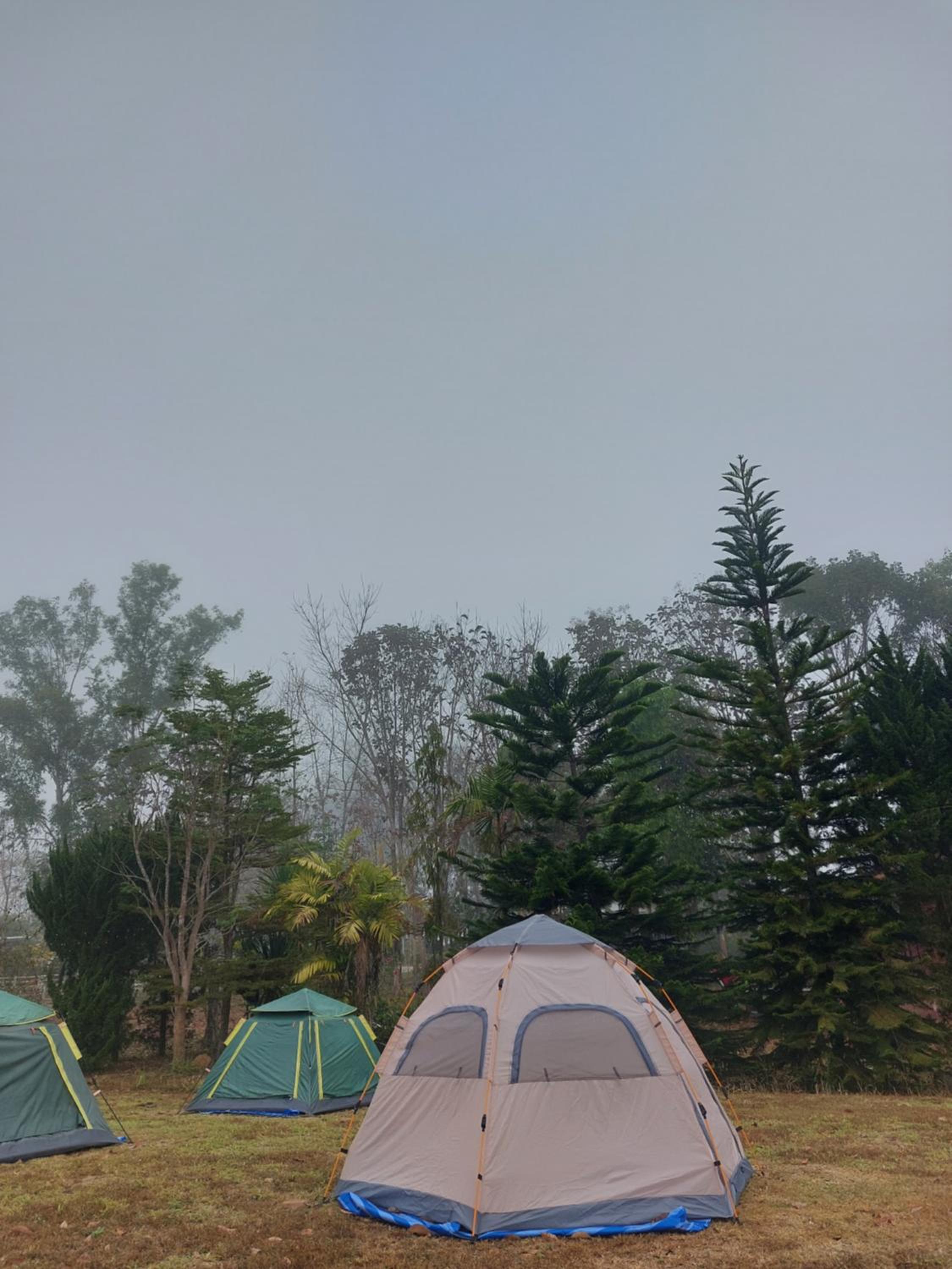 Phulomnum Resort
