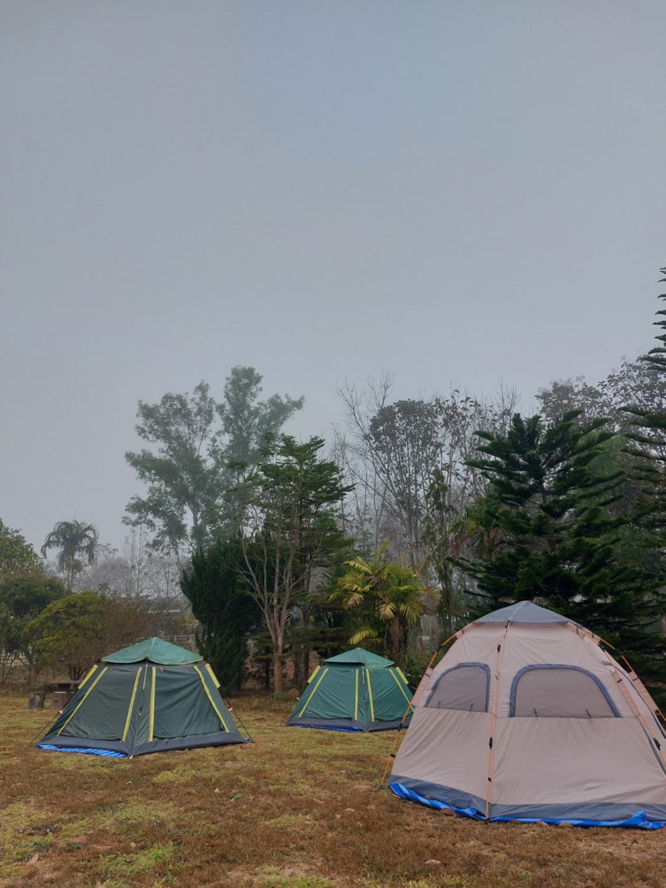 Phulomnum Resort