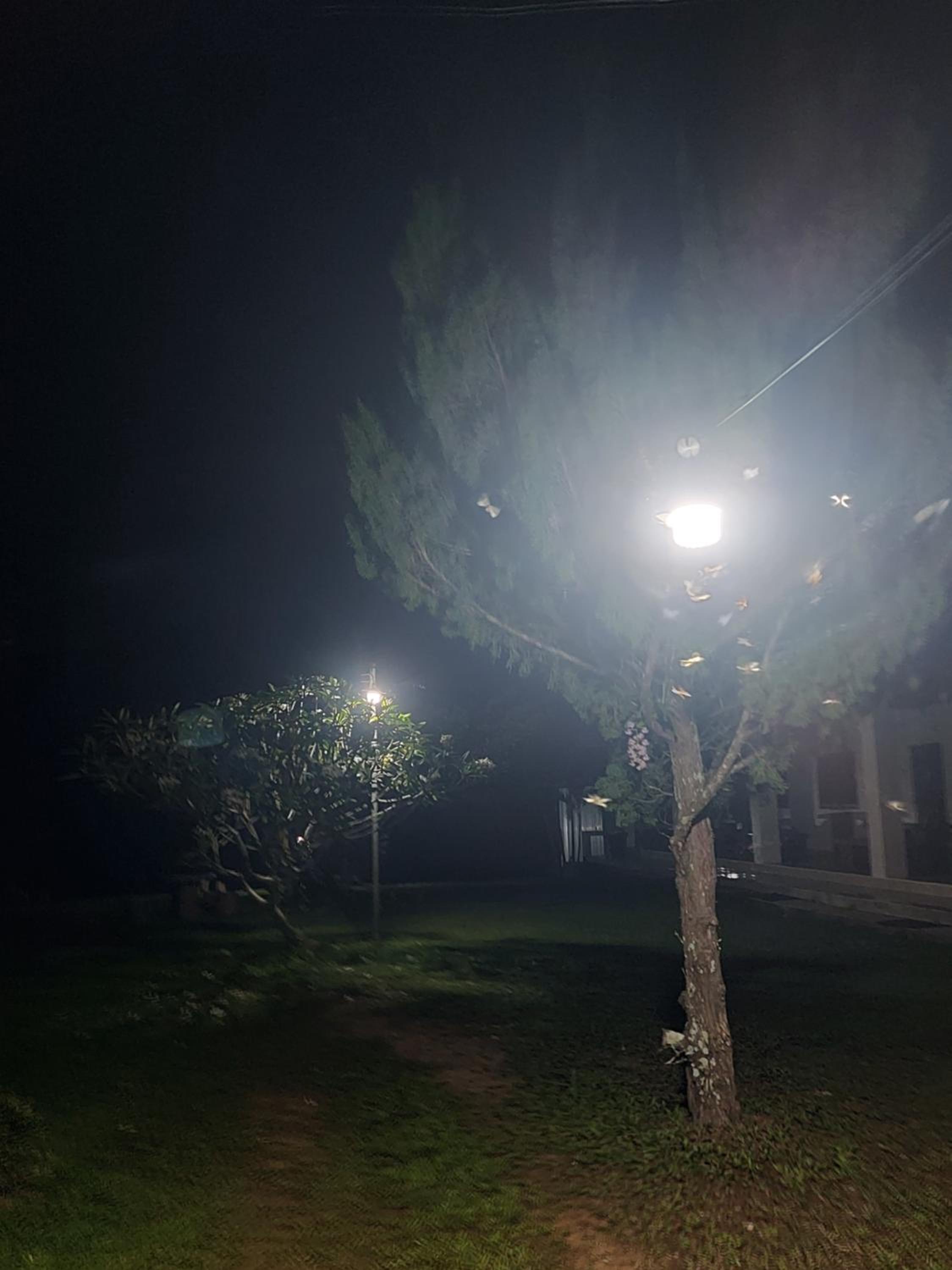 Phulomnum Resort