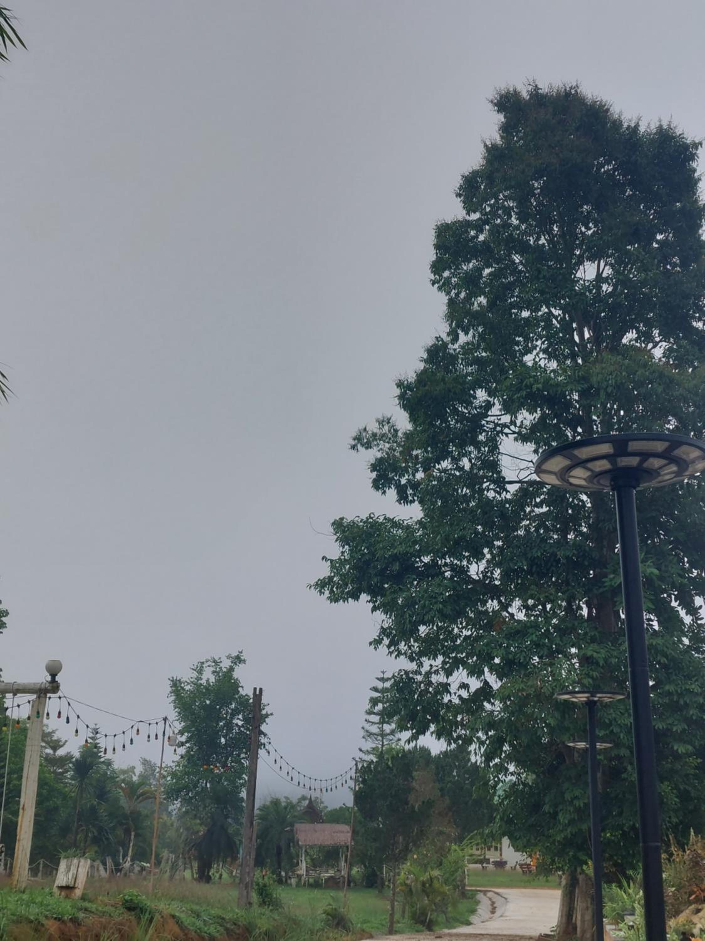 Phulomnum Resort
