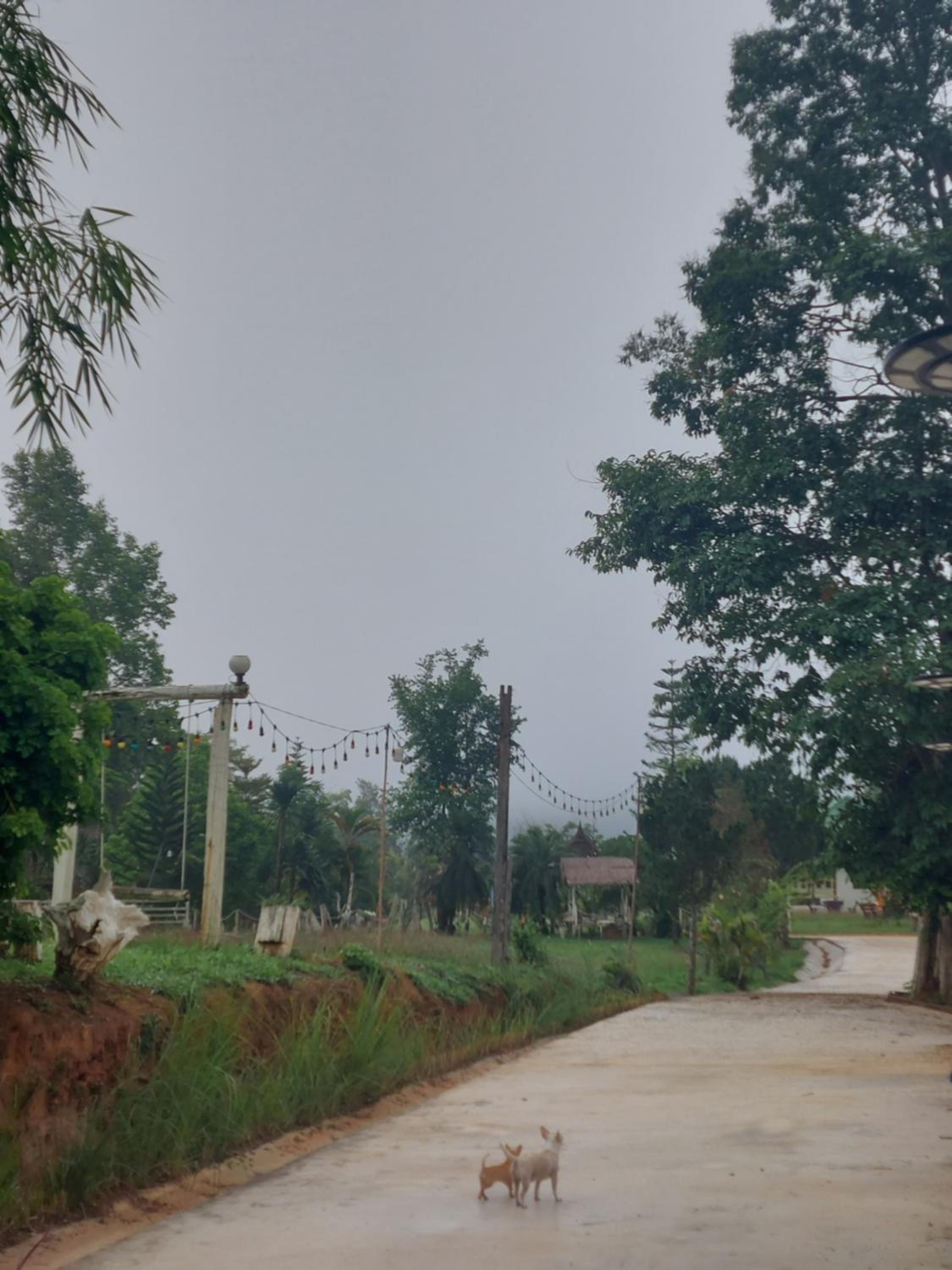 Phulomnum Resort