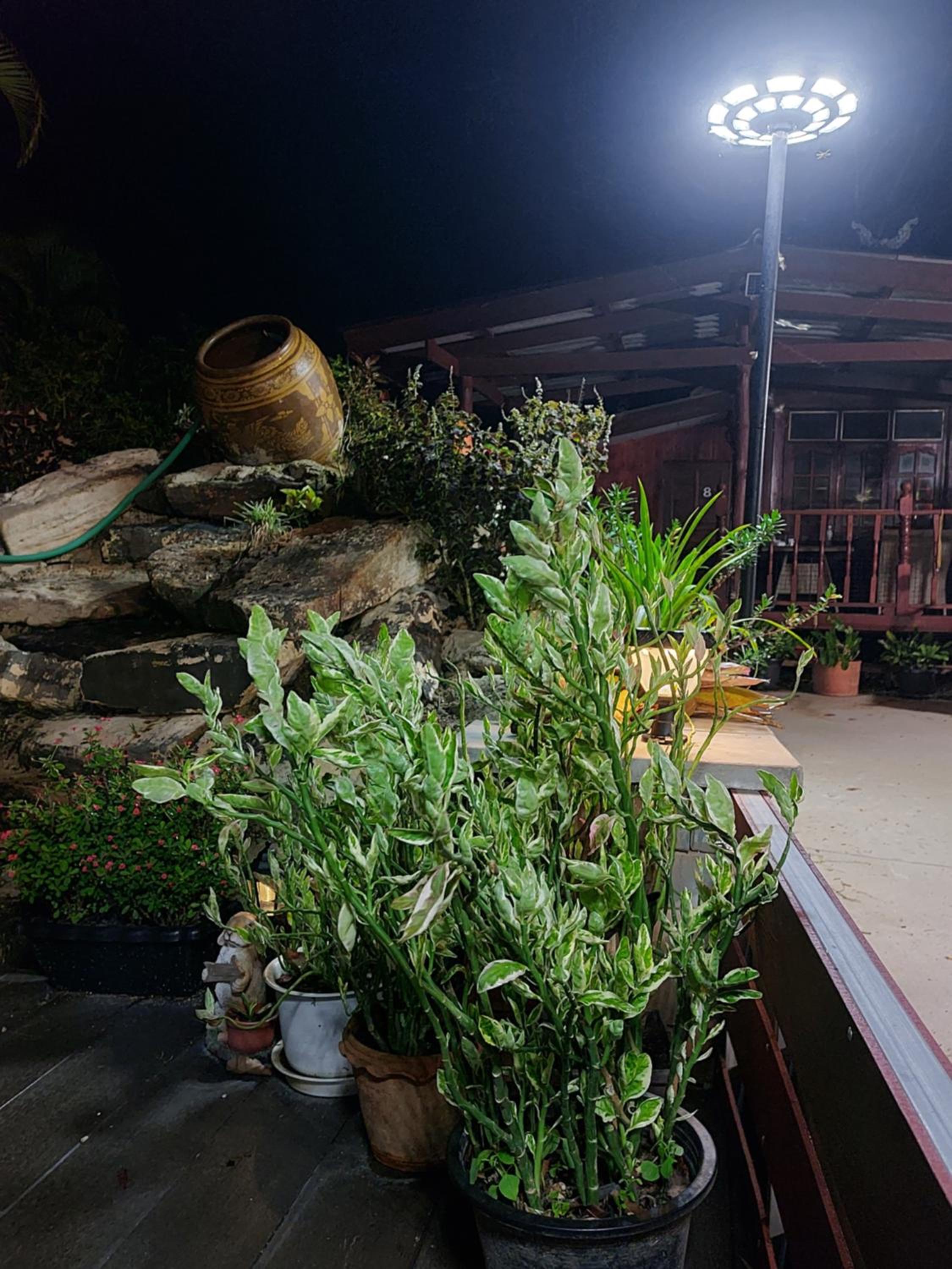 Phulomnum Resort