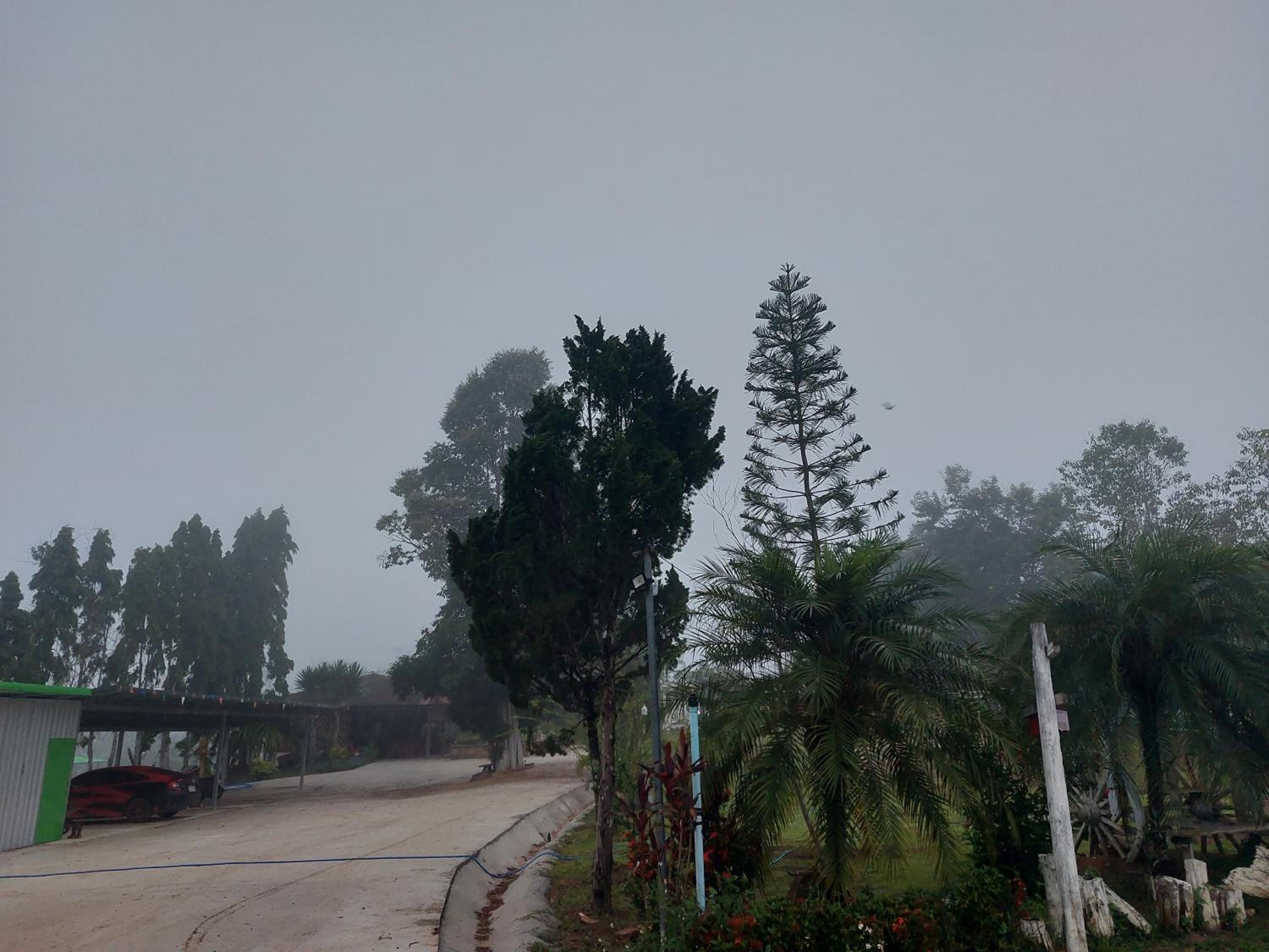 Phulomnum Resort