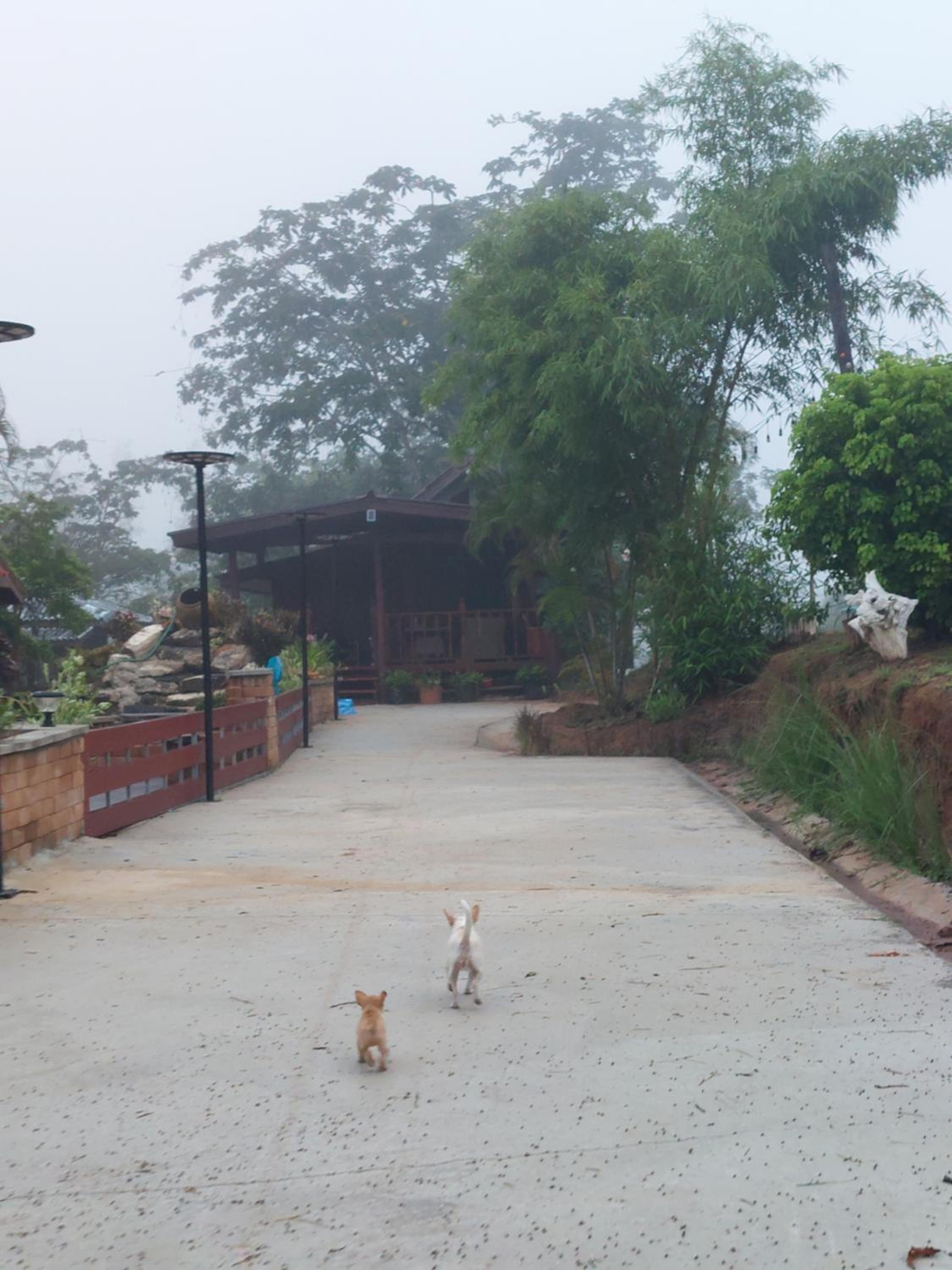 Phulomnum Resort