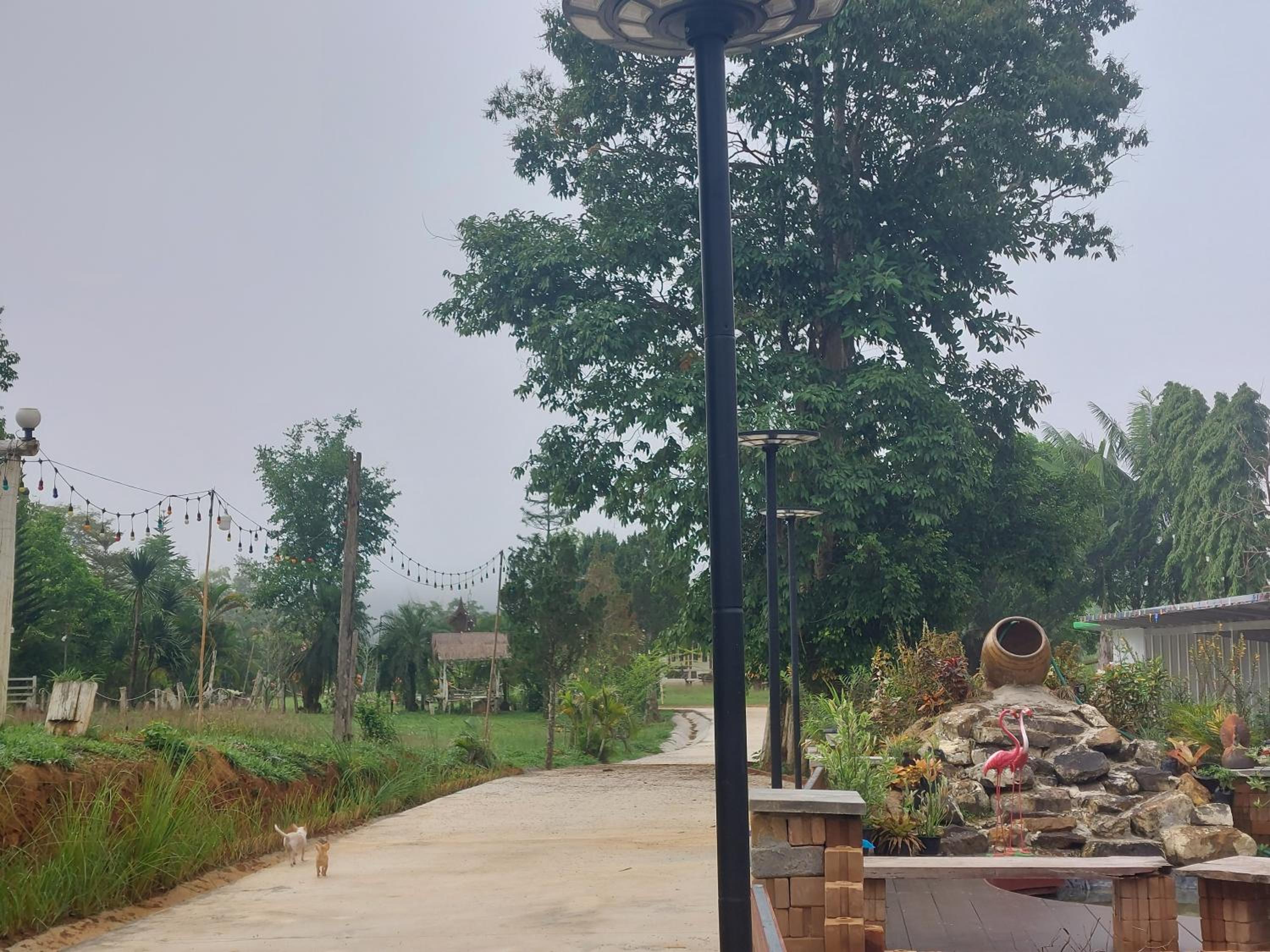 Phulomnum Resort