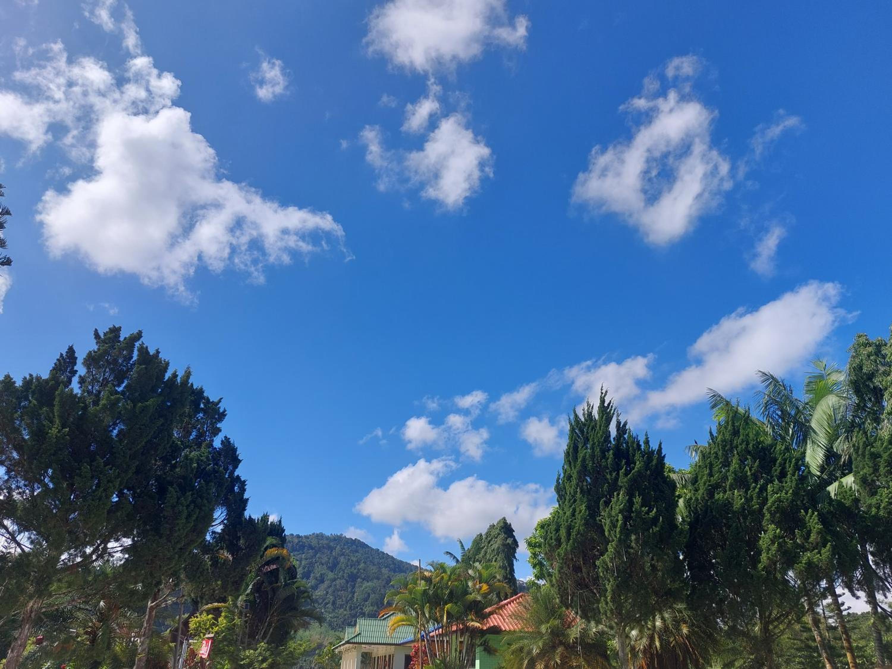 Phulomnum Resort