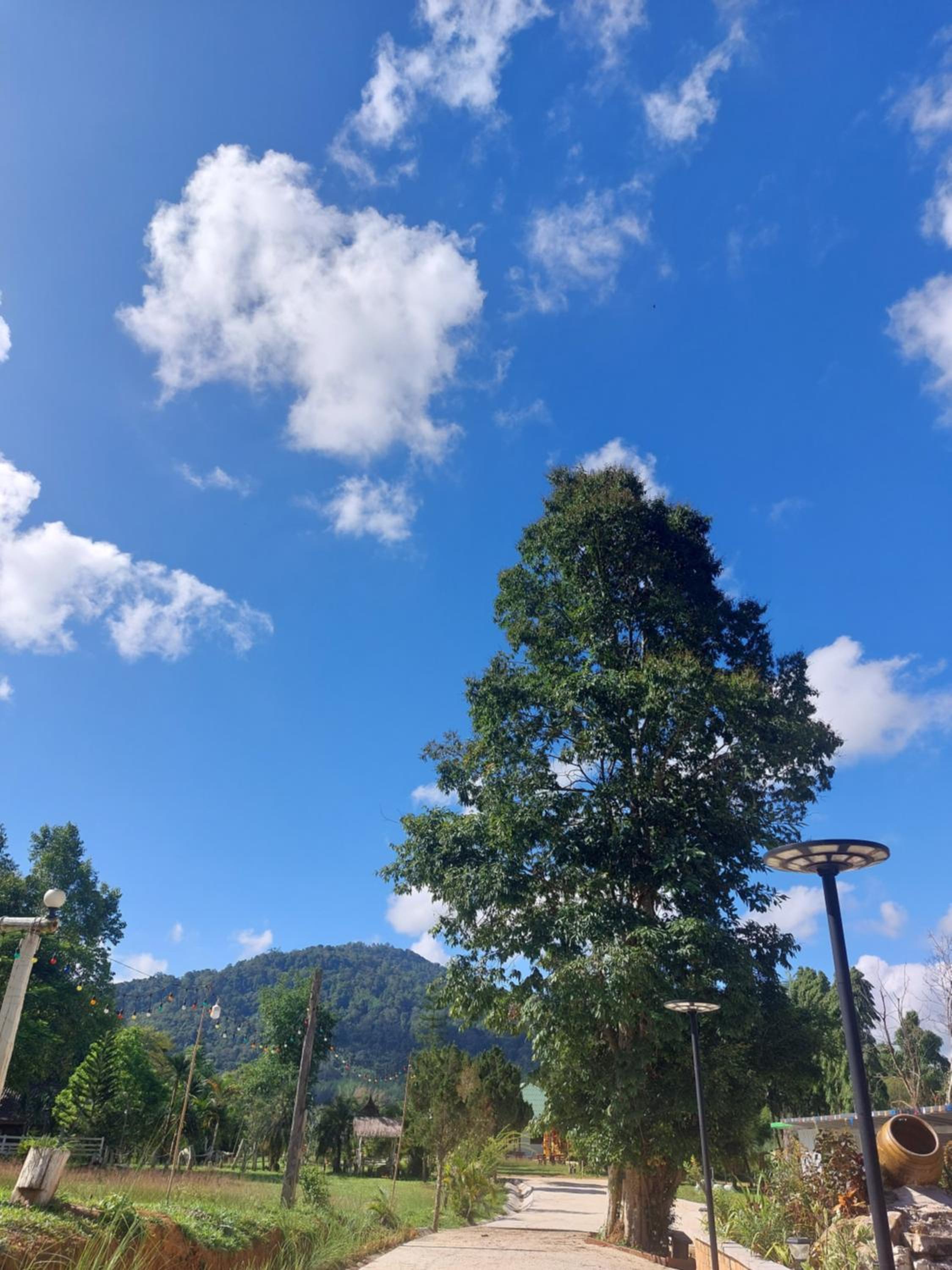 Phulomnum Resort