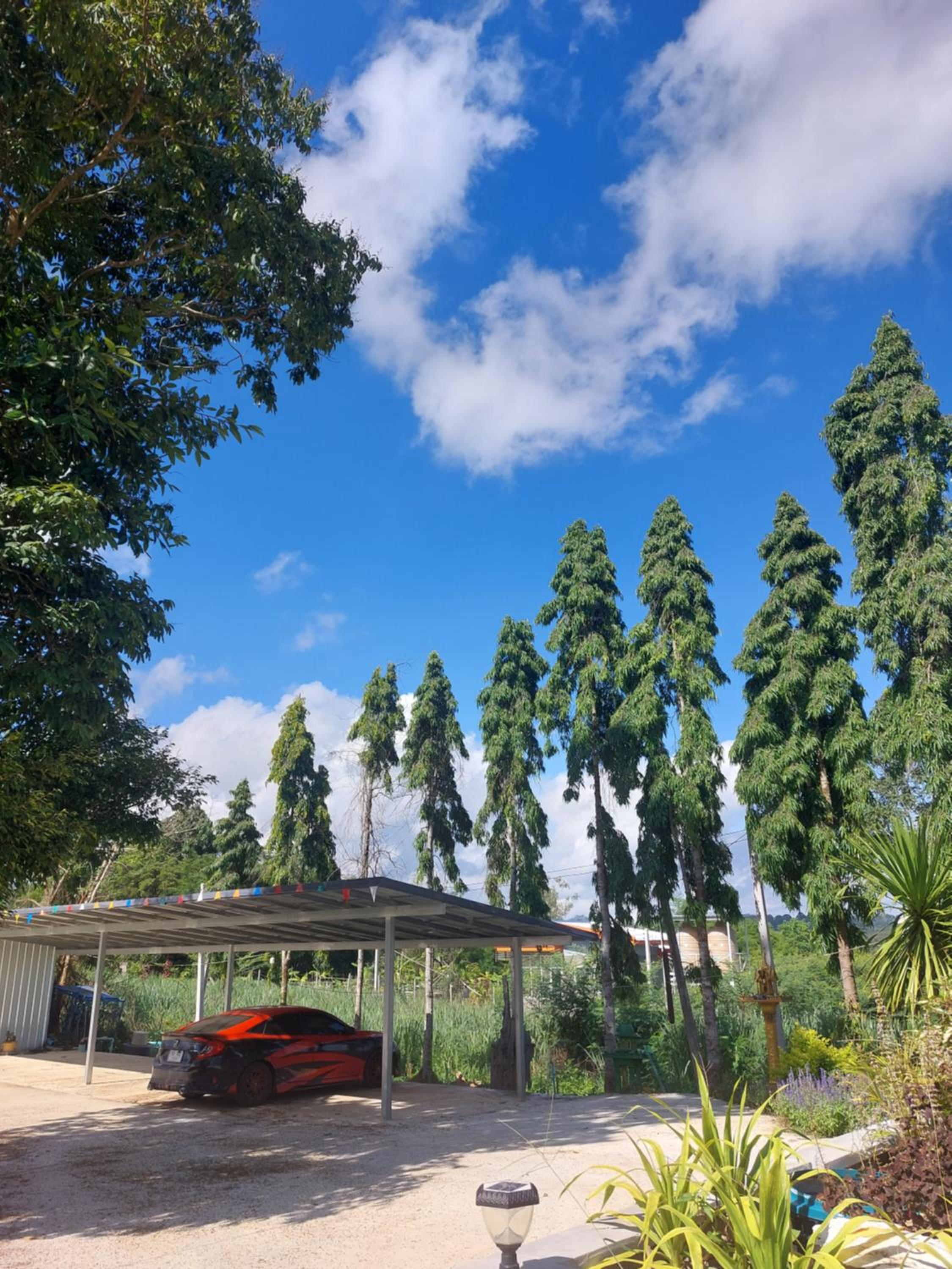 Phulomnum Resort
