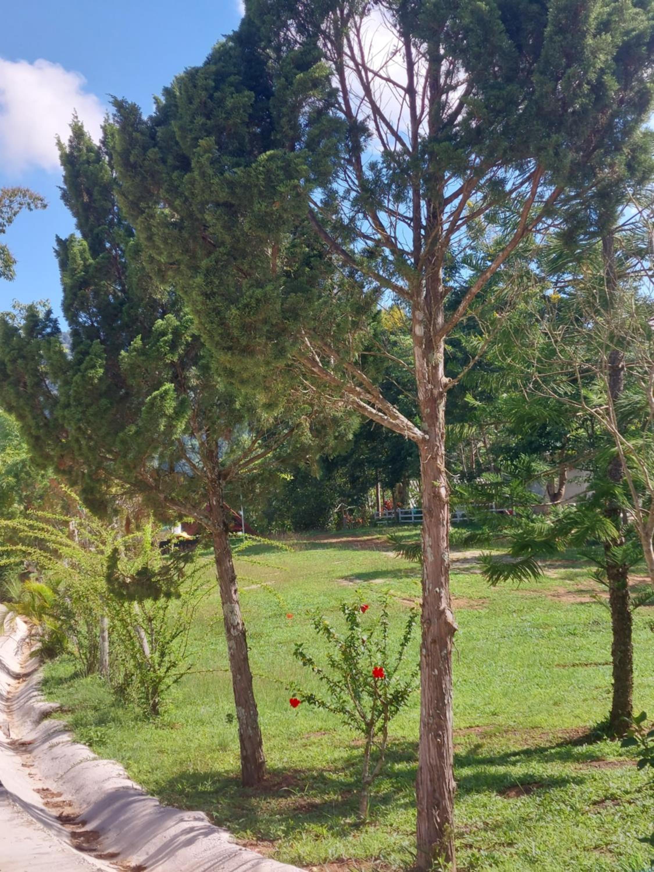 Phulomnum Resort
