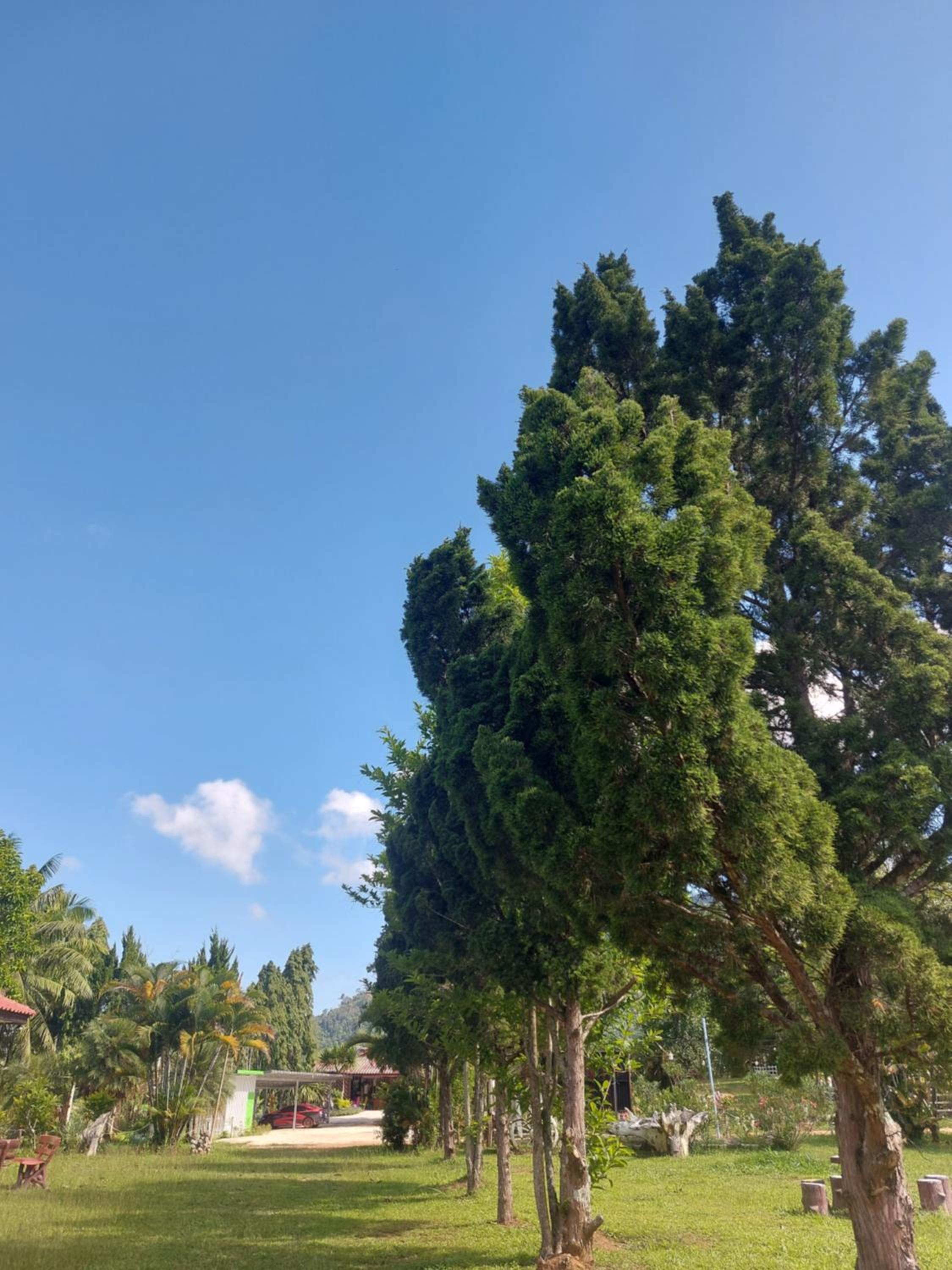 Phulomnum Resort