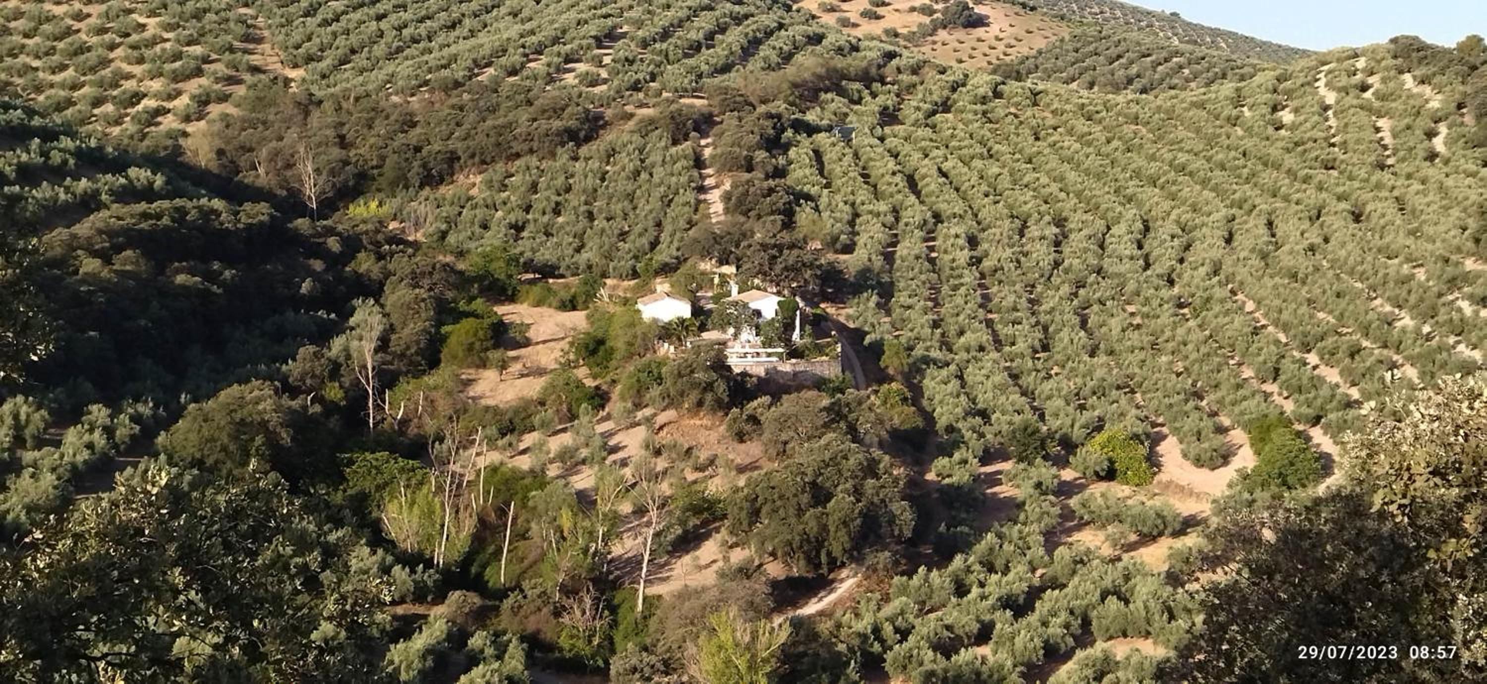 Cortijo los Duranes