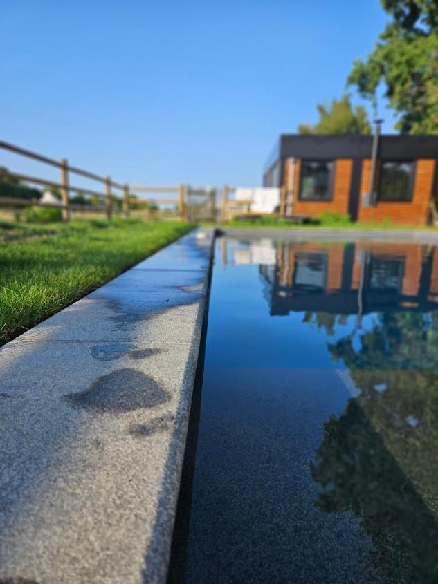Houten huisje tussen paarden