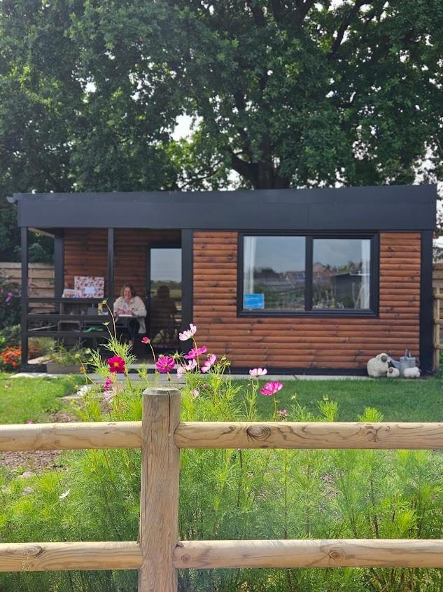 Houten huisje tussen paarden