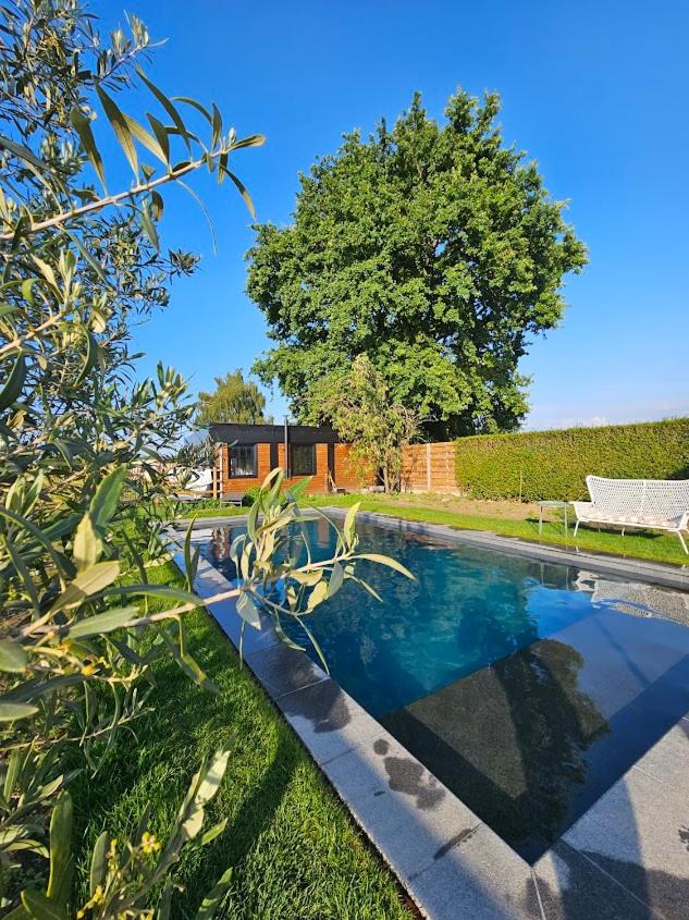 Houten huisje tussen paarden